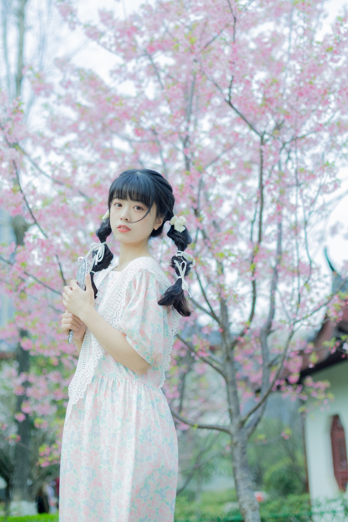 一只暖暖 – 《春日樱花记忆》[31P] 插图4