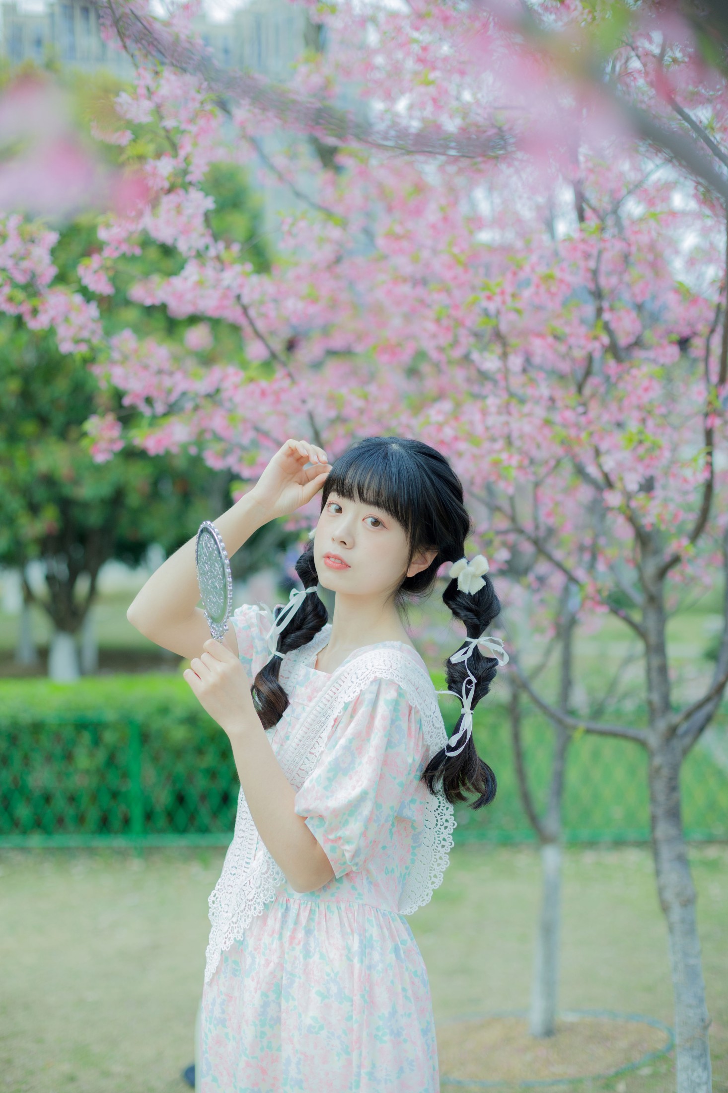 一只暖暖 – 《春日樱花记忆》[31P] 插图5