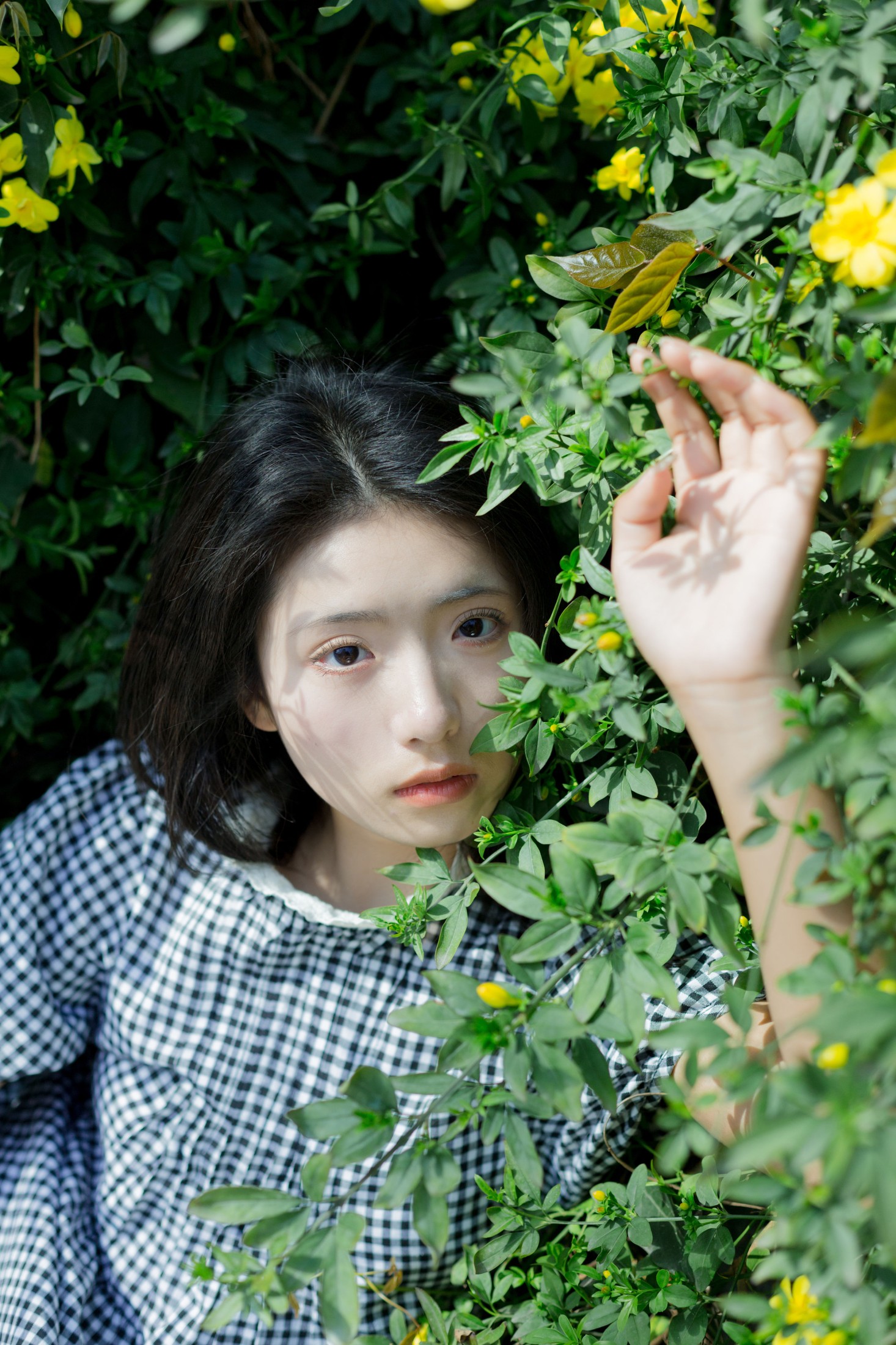 木柚柚 – 《故事的小黄花》[28P] 插图4