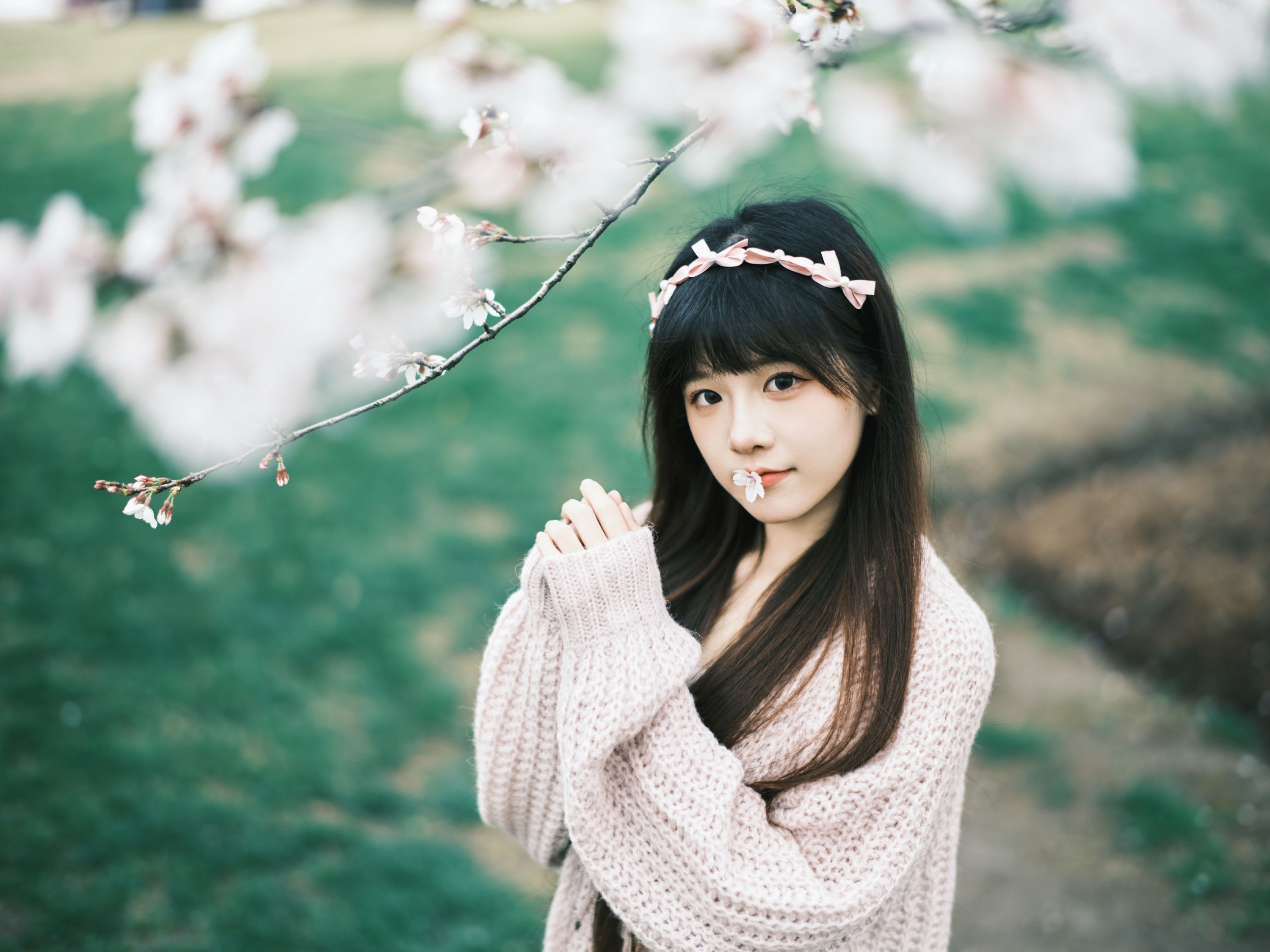 宵宵喵 – 《染井吉野樱》[78P] 插图5