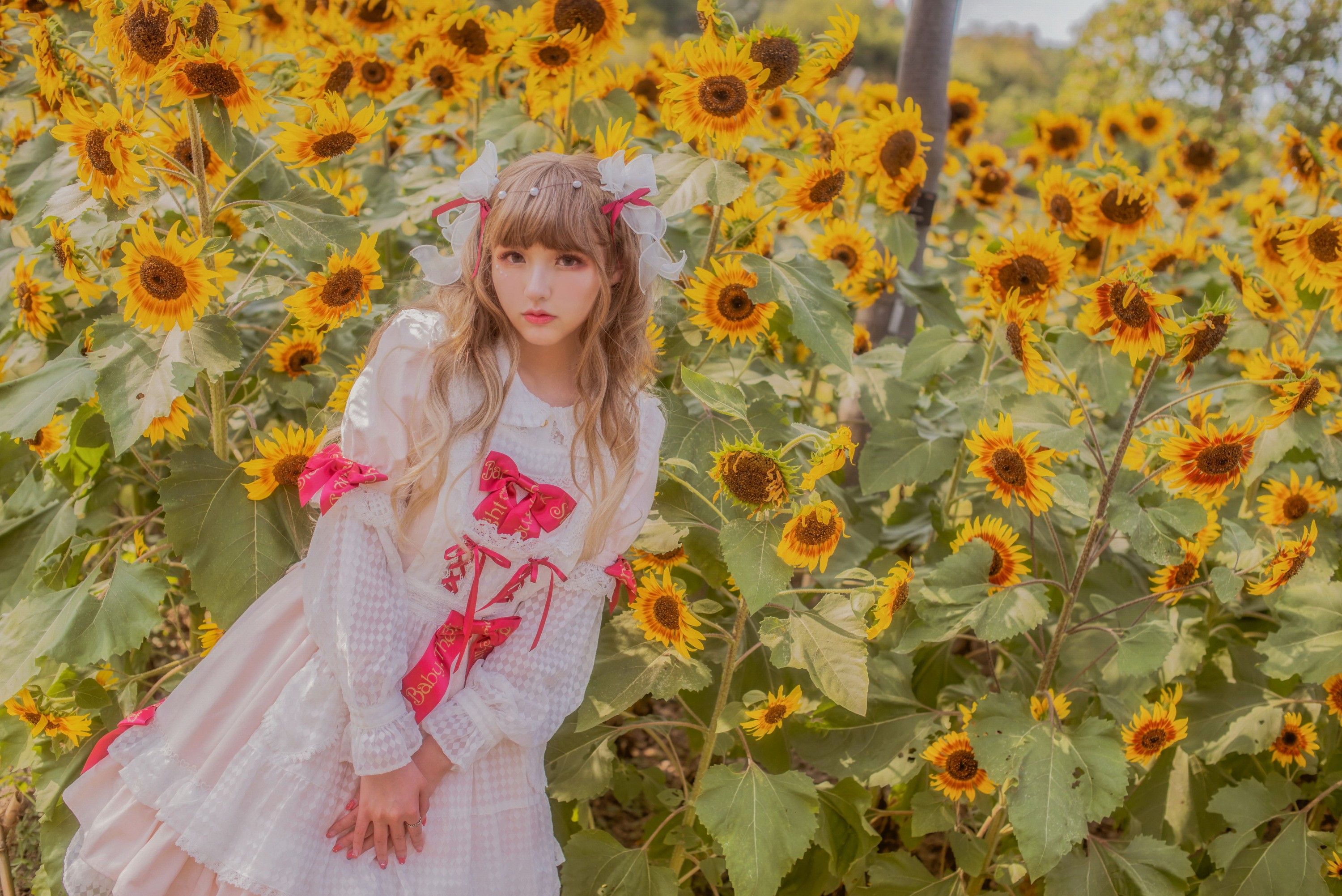 FuyuMi冬目 – 《向日葵洛丽塔》[24P] 插图3