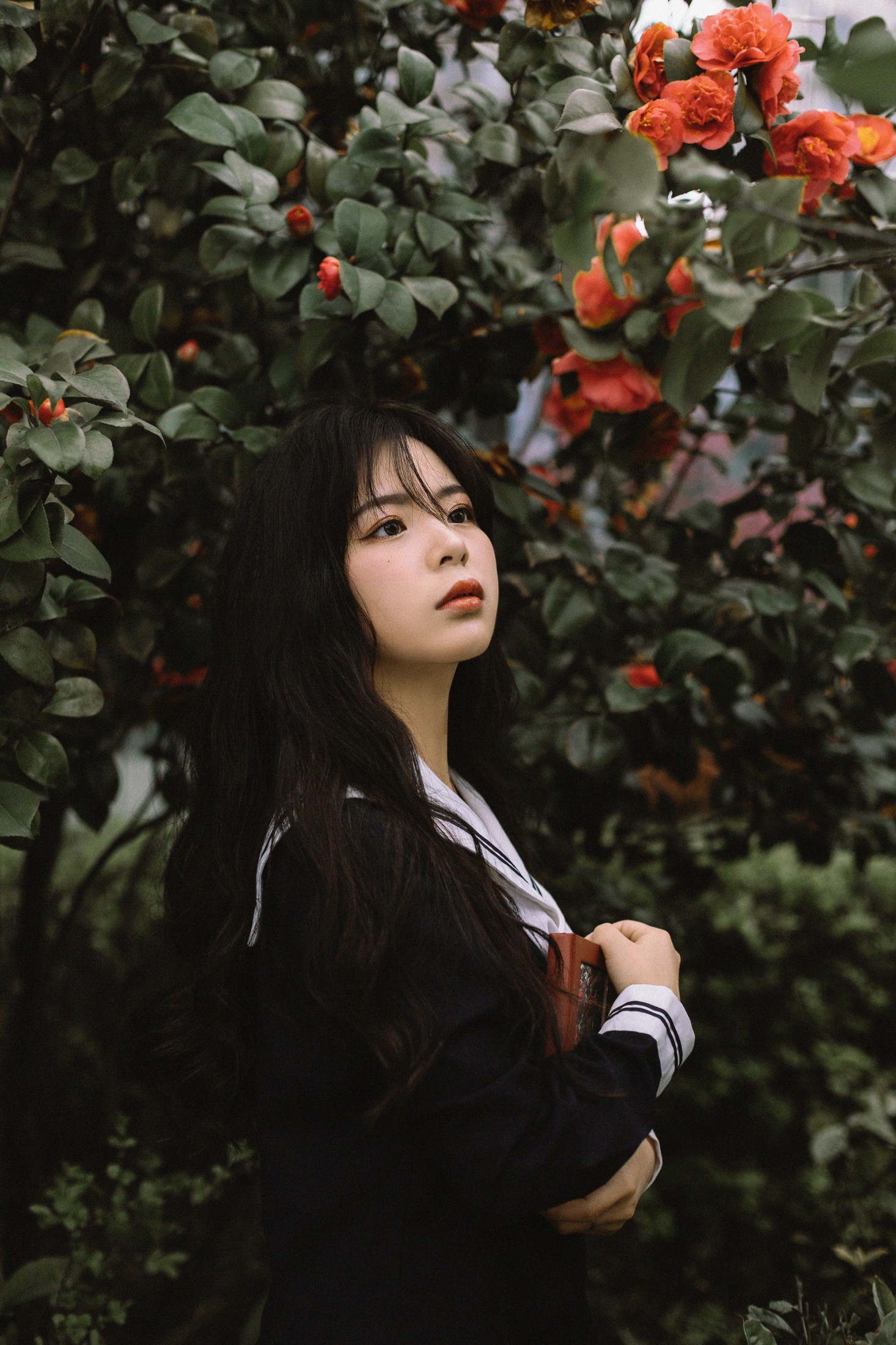 是小白噢 – 《茶花树下的少女》[26P] 插图3