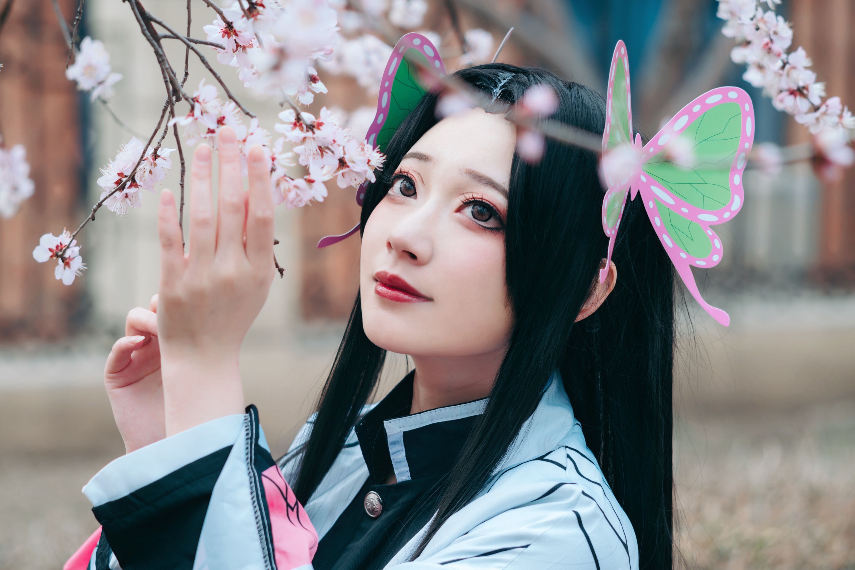 桃墨公子x – 《蝴蝶香奈惠》[22P] 插图4