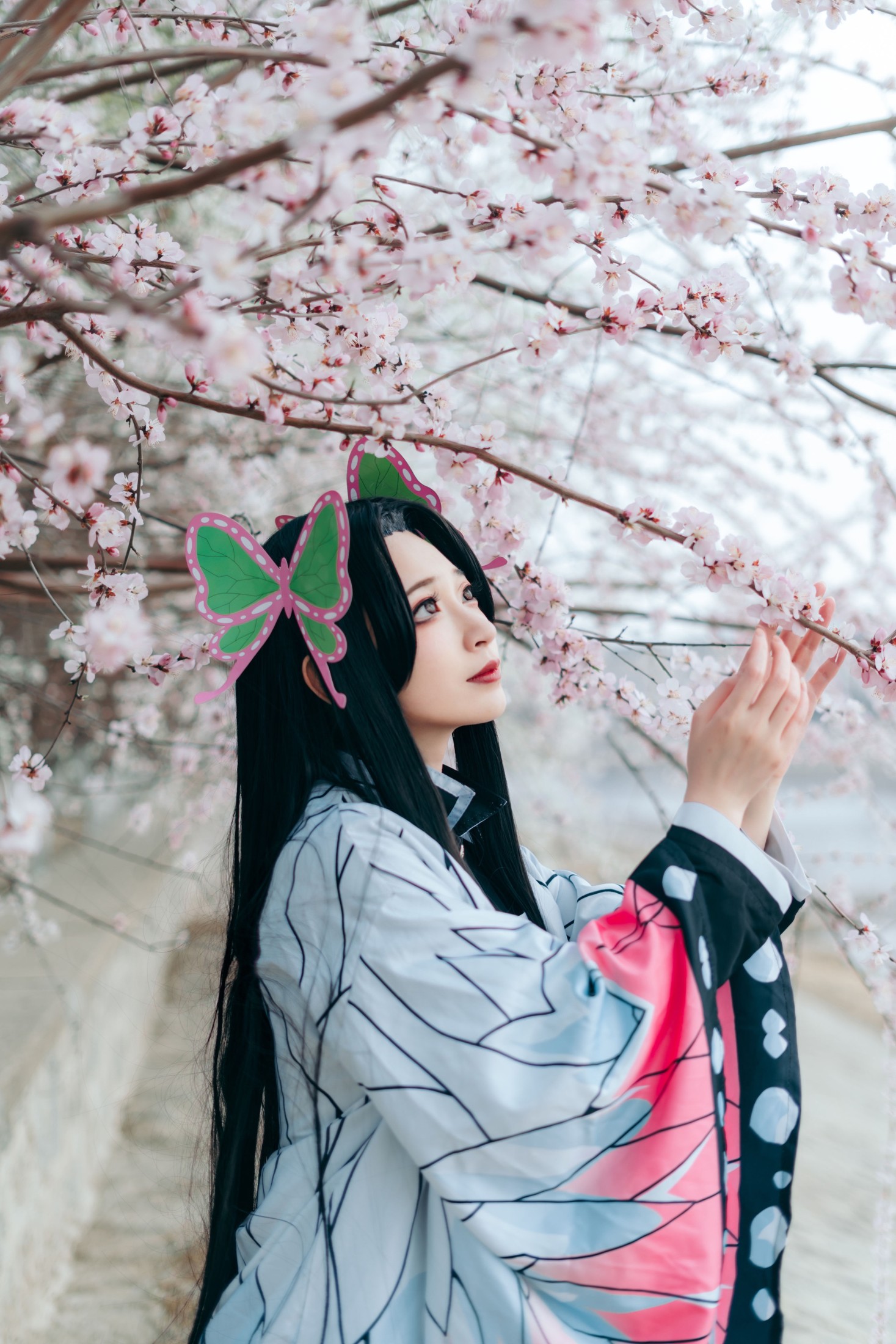 桃墨公子x – 《蝴蝶香奈惠》[22P] 插图5