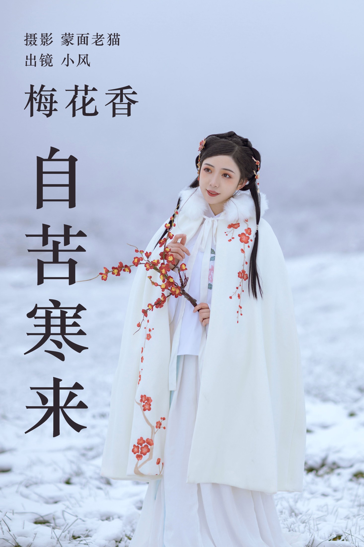 小风加载中 – 《梅花香自苦寒来》[25P]-66COS