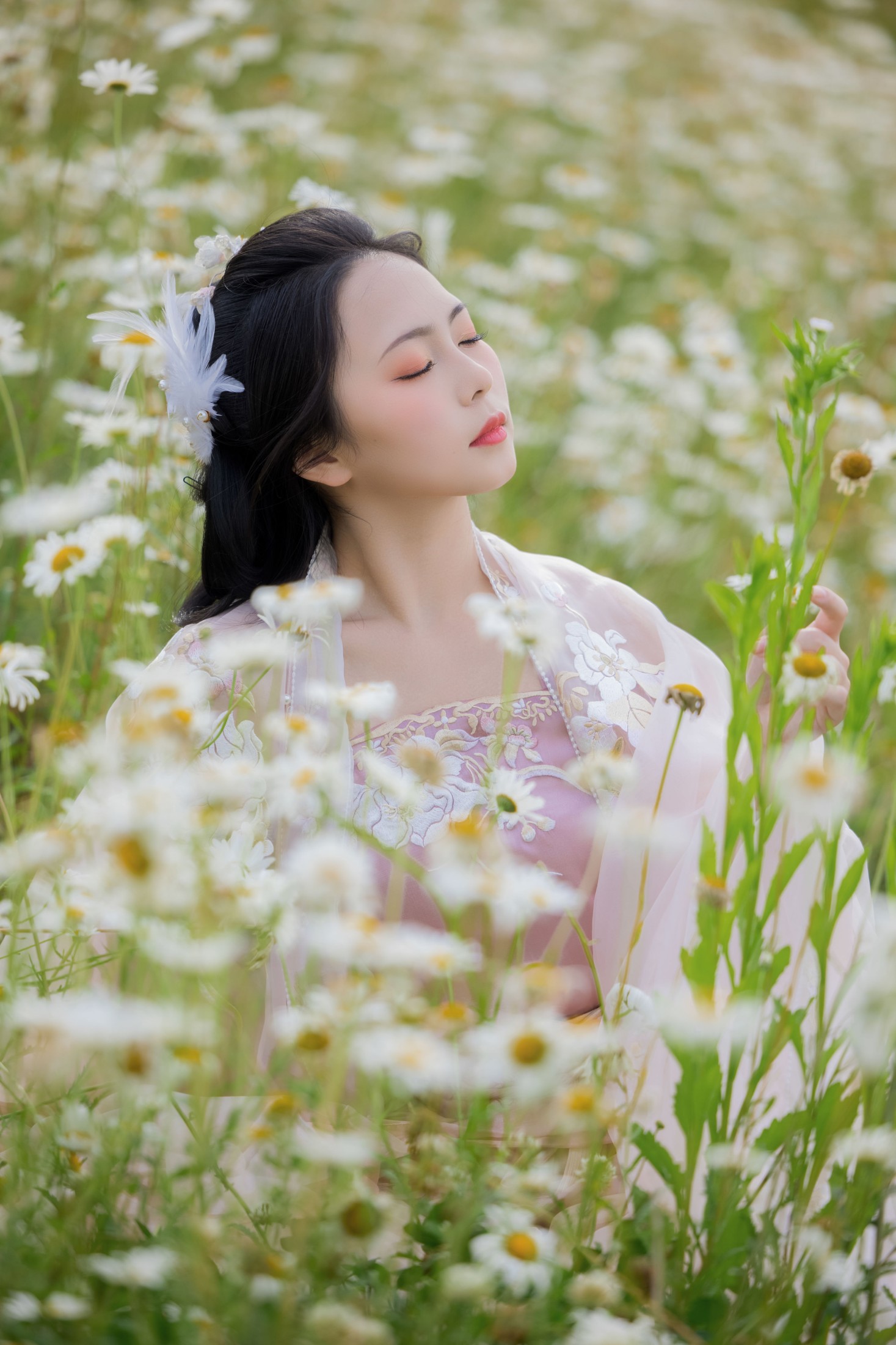 阡墨红尘 – 《雏菊花海》[23P] 插图3