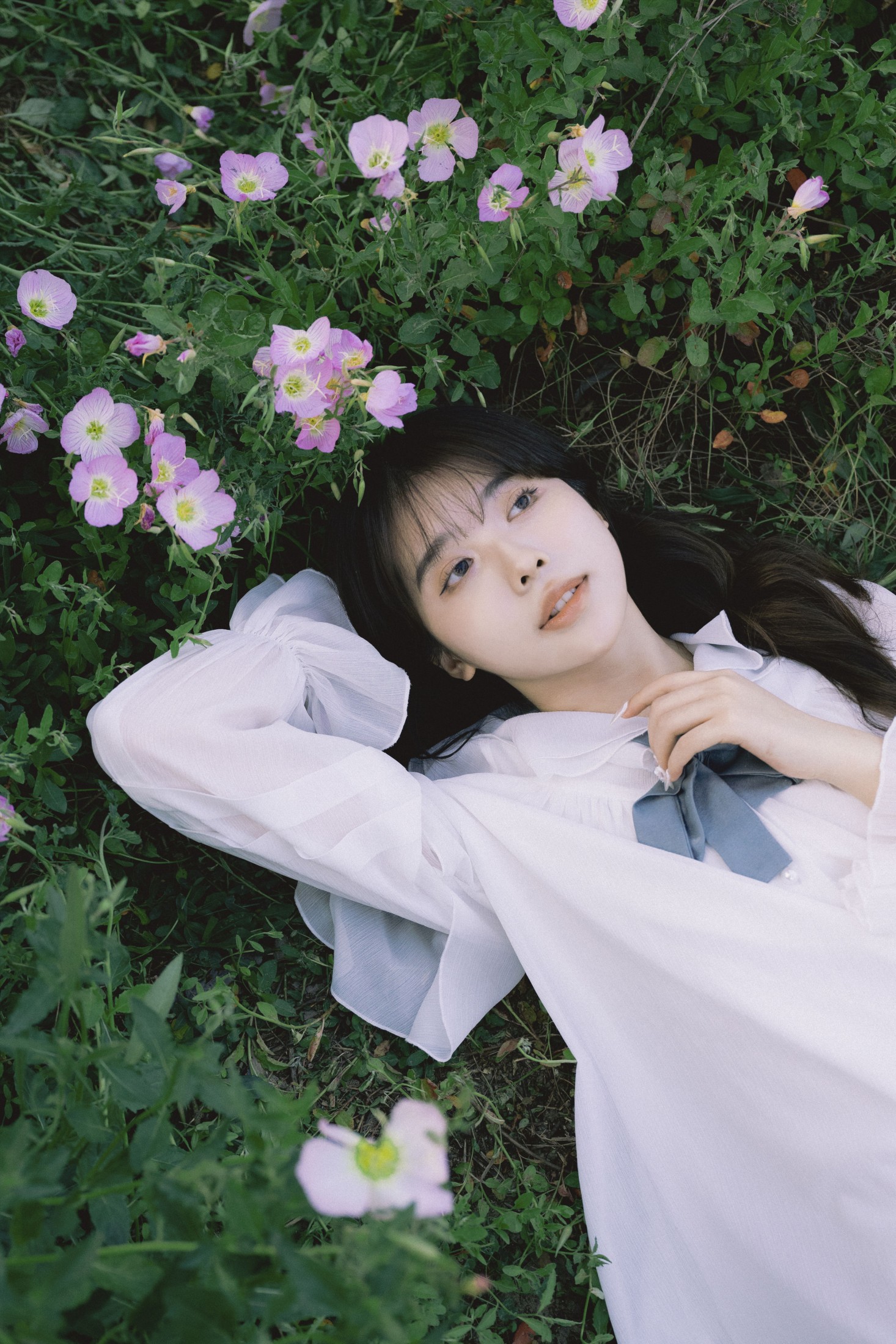 Z_Solla – 《月见草盛开的地方》[20P] 插图4