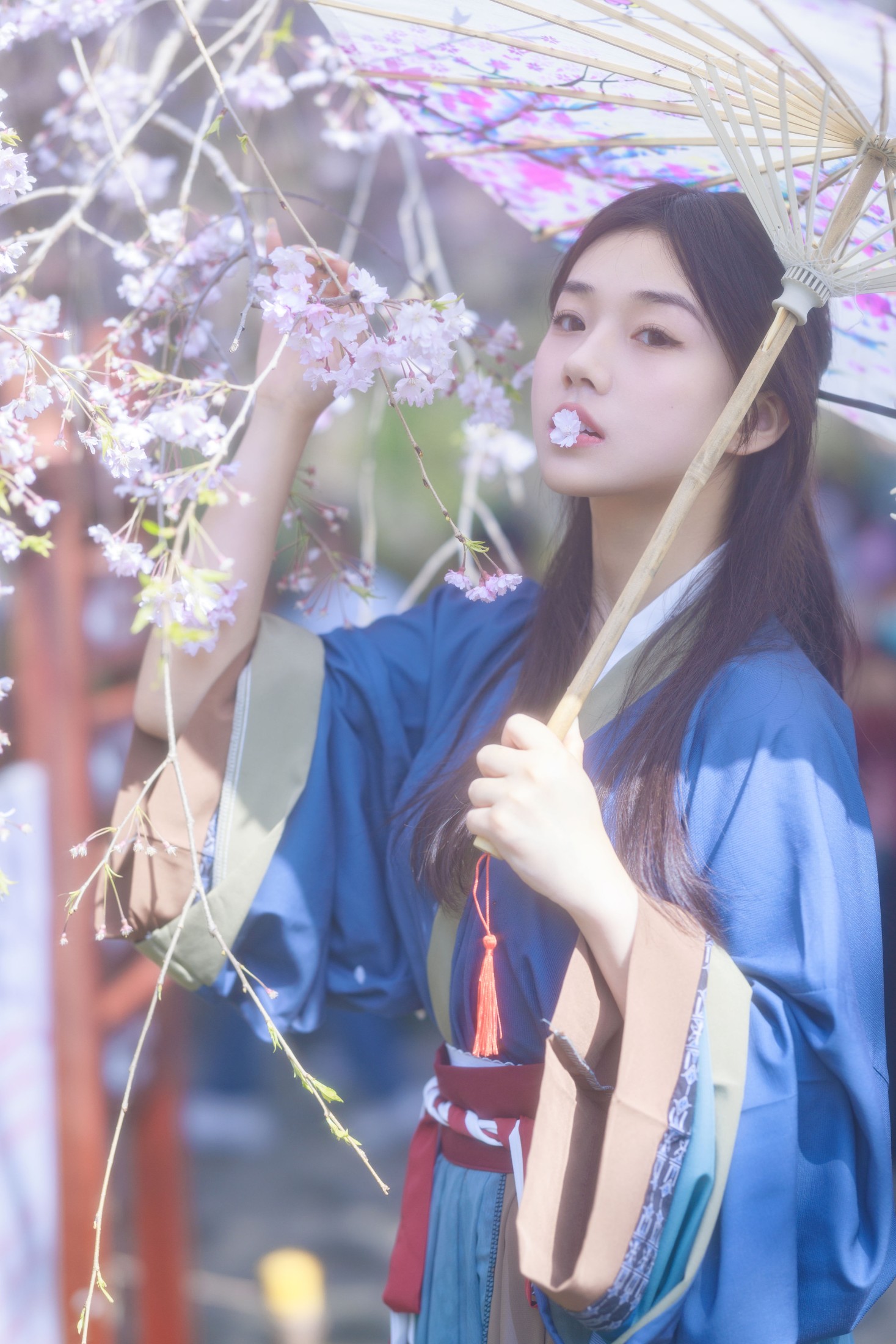 裴同学 – 《垂樱》[22P] 插图5