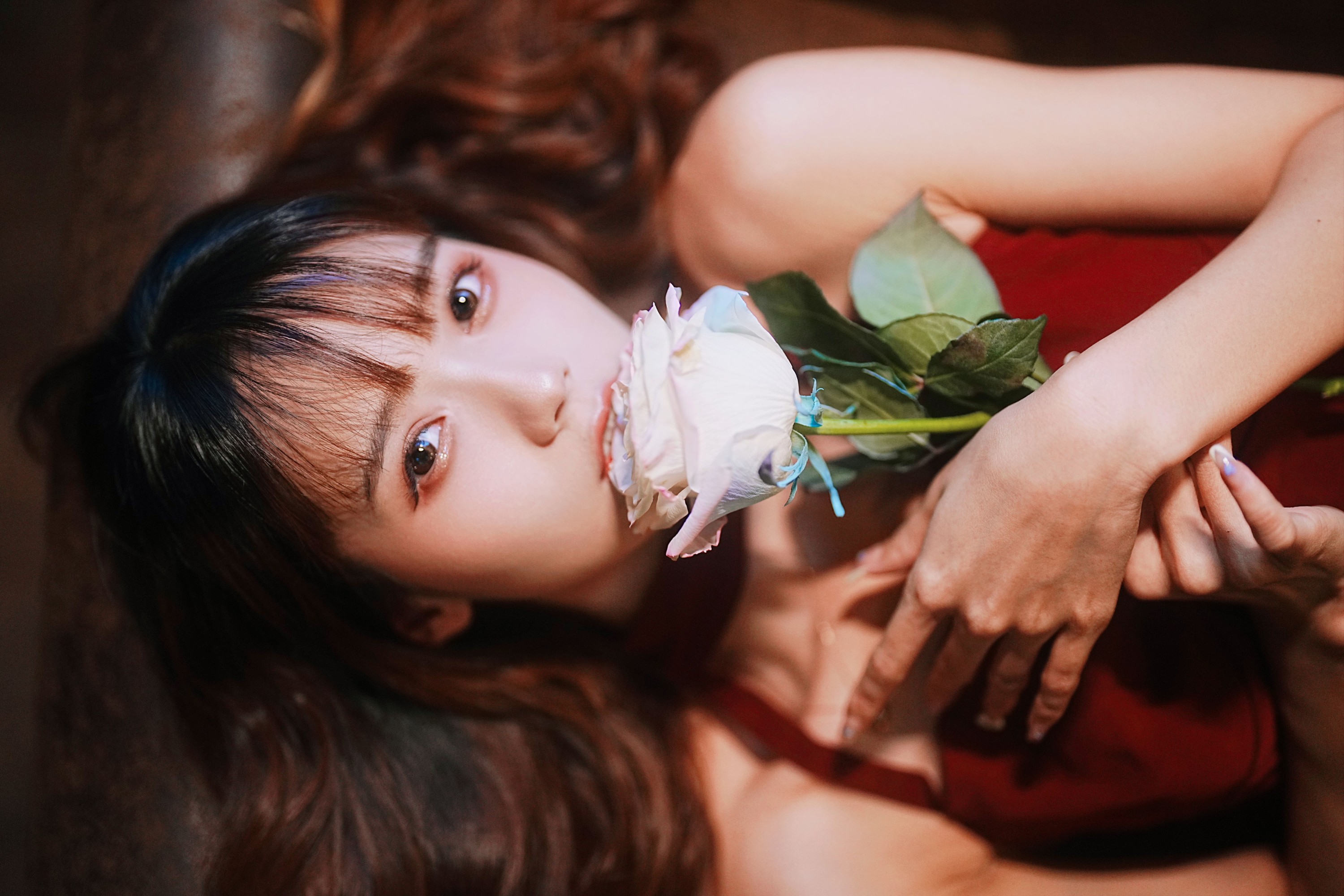 兔子Zzz不吃胡萝卜 – 《心动玫瑰》[22P] 插图5