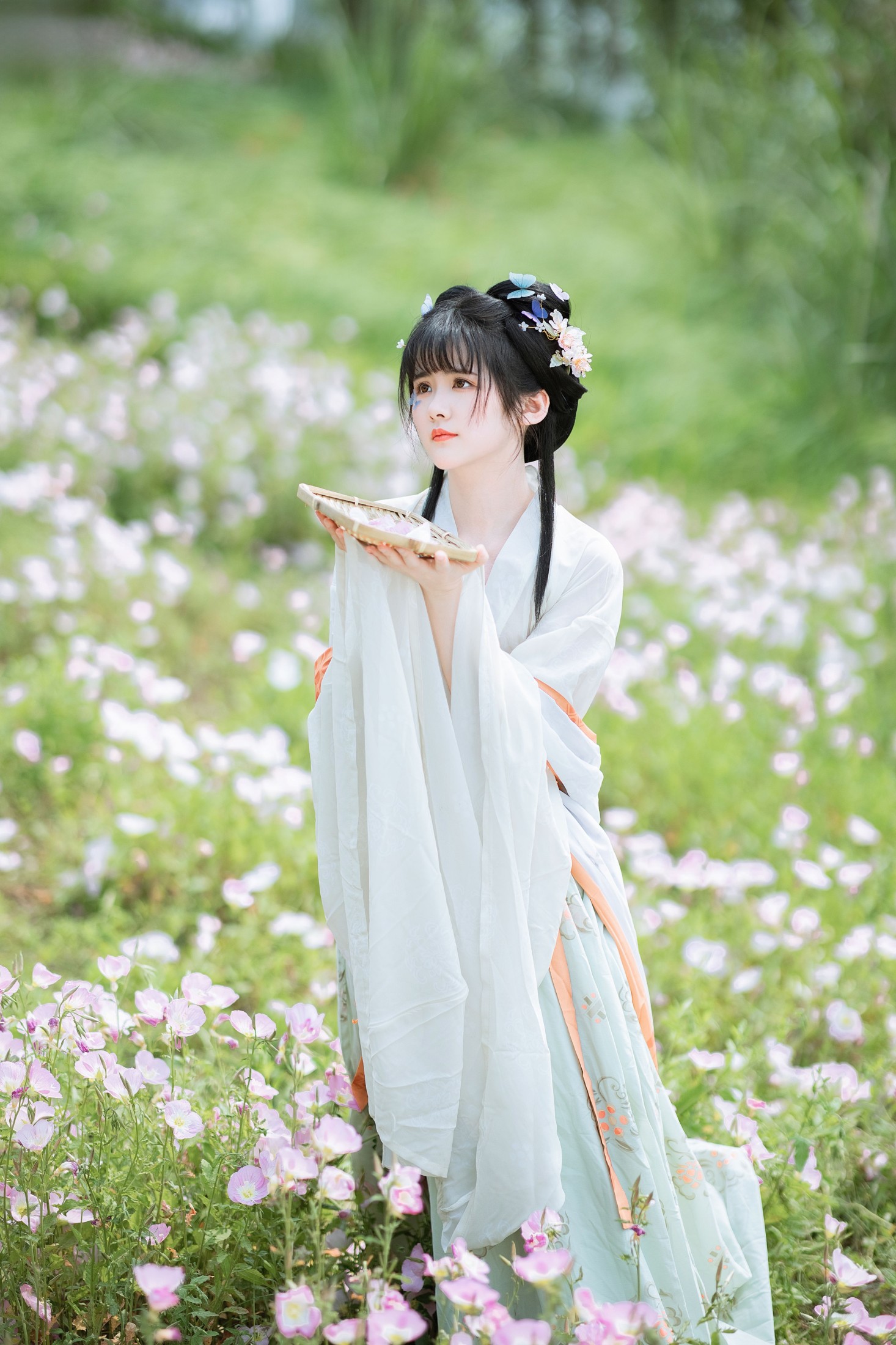 葵向火 – 《春之丽》[47P] 插图3