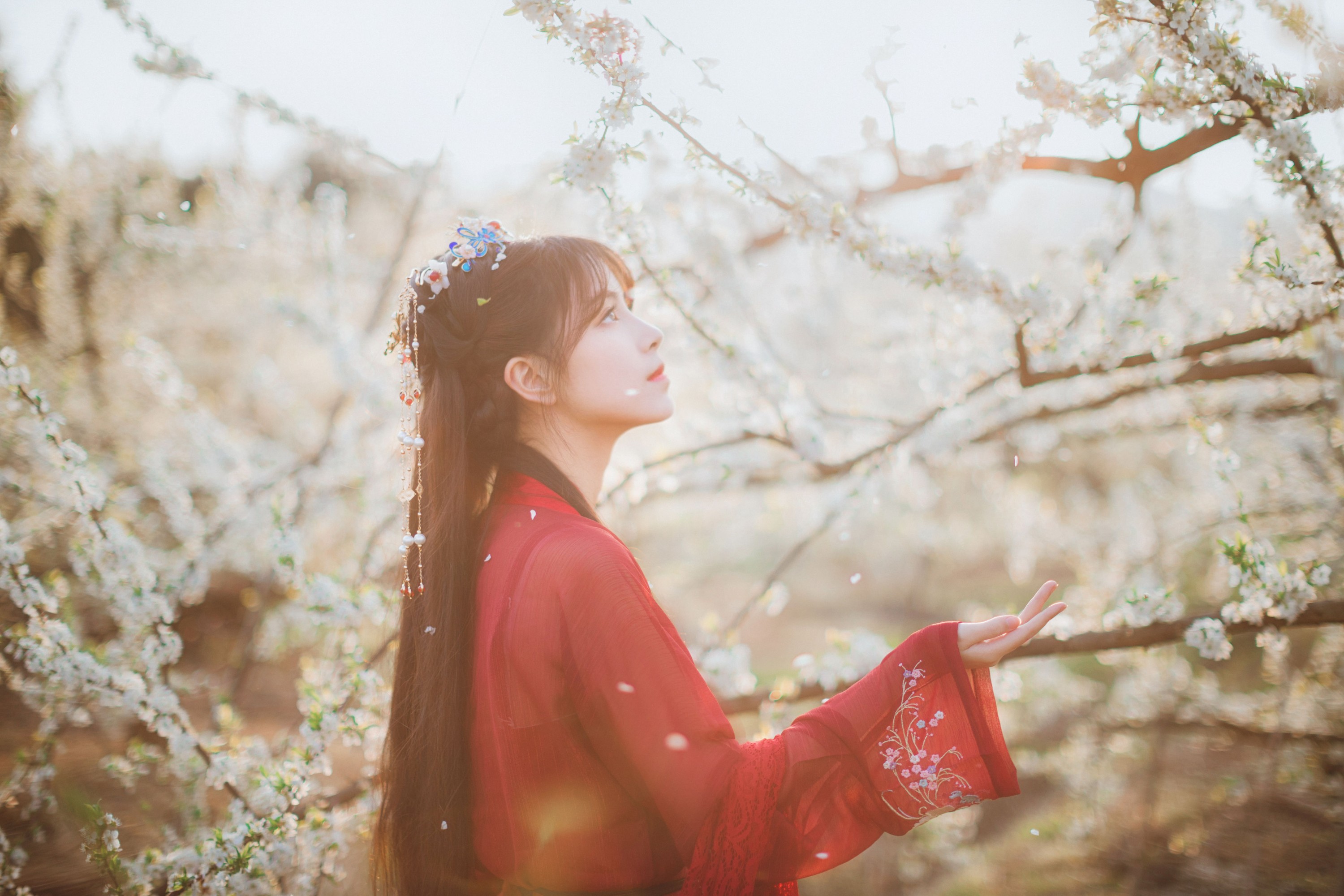 公子不坏 – 《知花事》[22P] 插图4