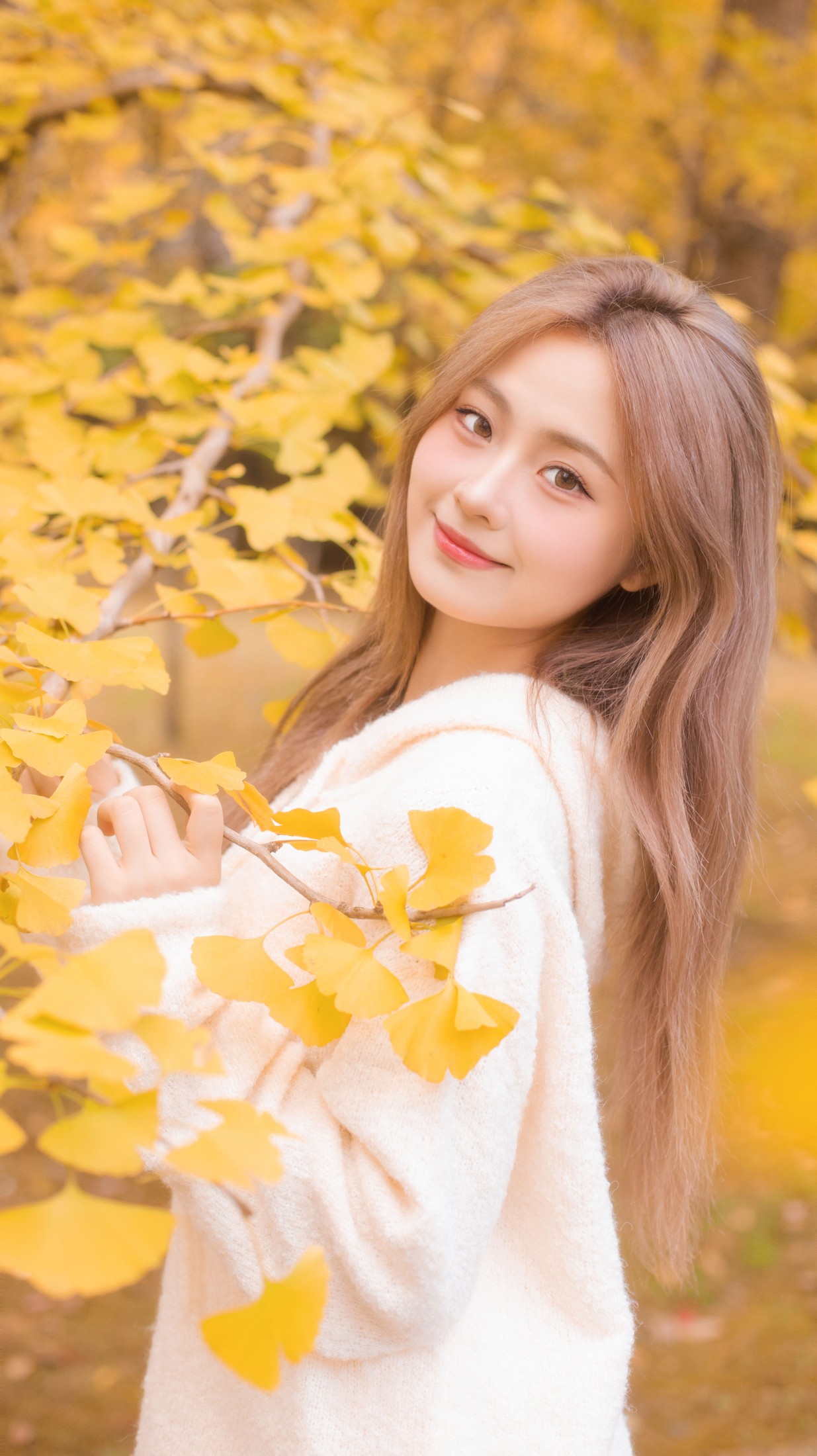 羔丽代 – 《沁入秋风的温柔》[33P] 插图4