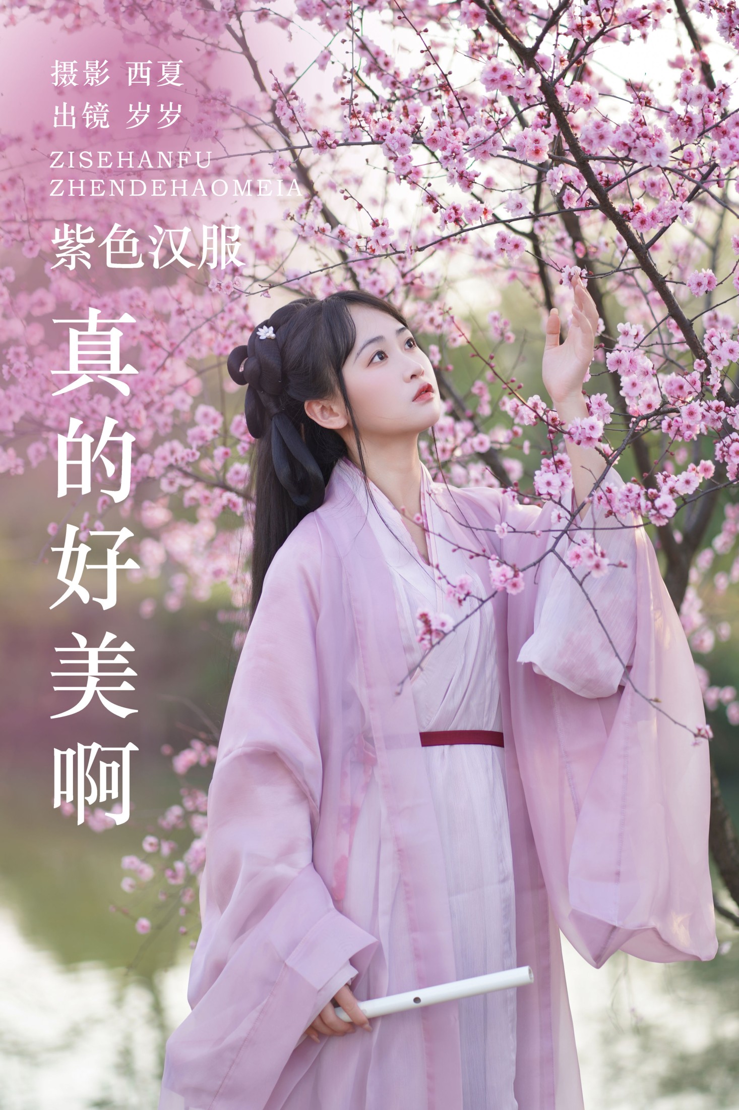 湫一只岁岁 – 《紫色汉服真的好美啊》[26P]-66COS