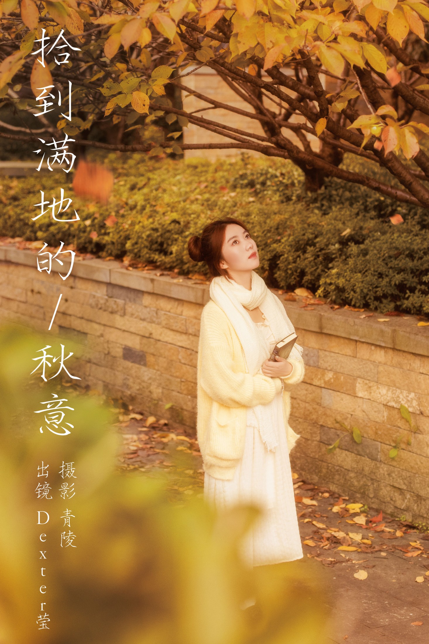Dexter莹 – 《拾到满地的秋意》[26P]-66COS