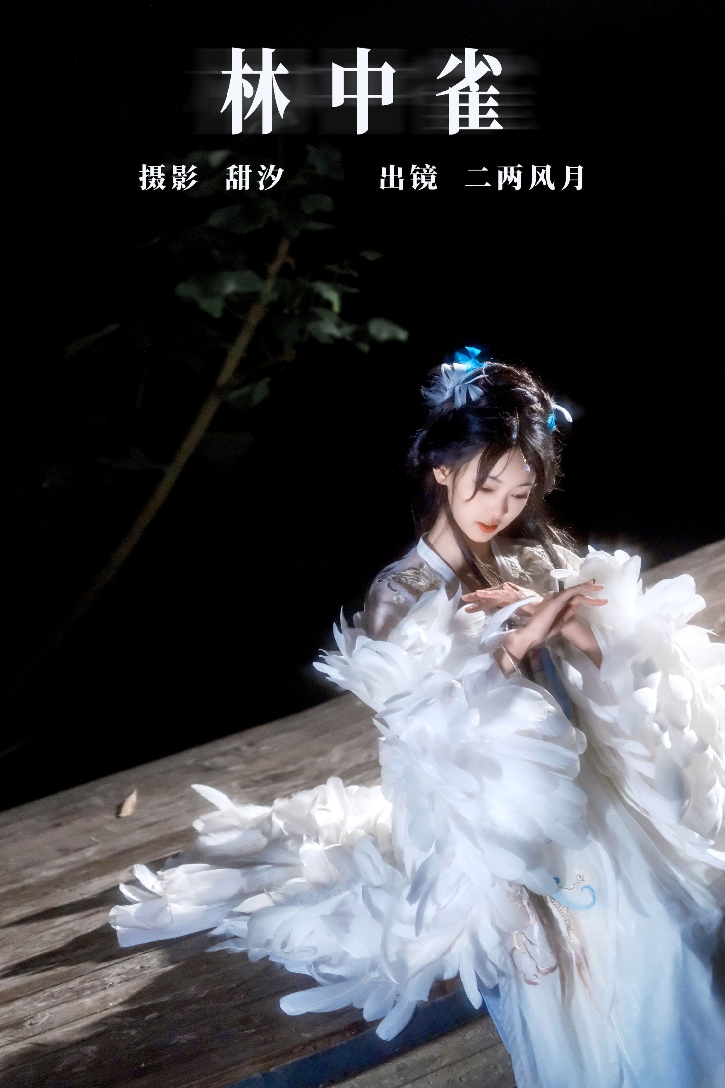 冷酷王爷 – 《林中雀》[22P]-66COS
