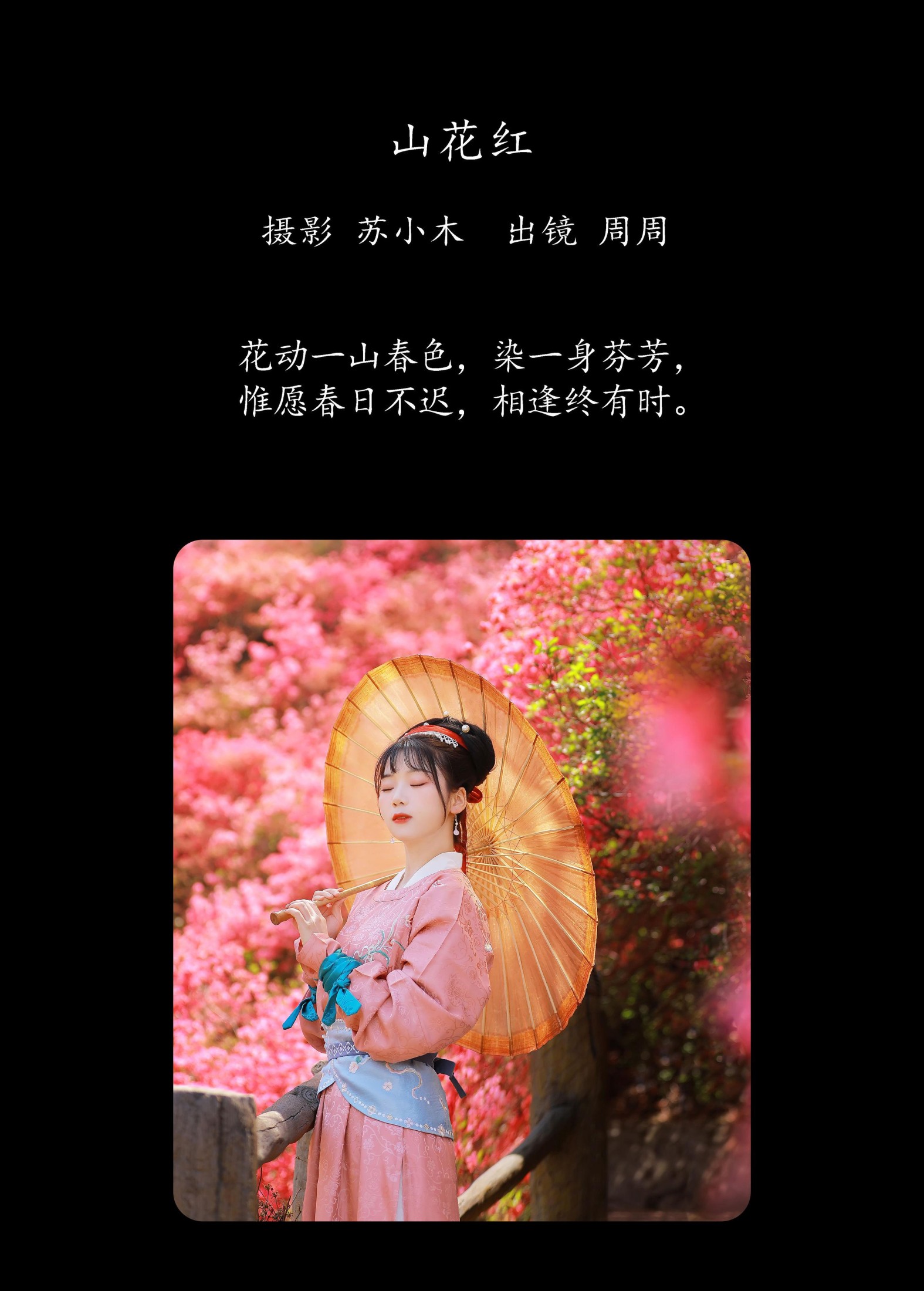 周周Ay – 《山花红》[25P] 插图2