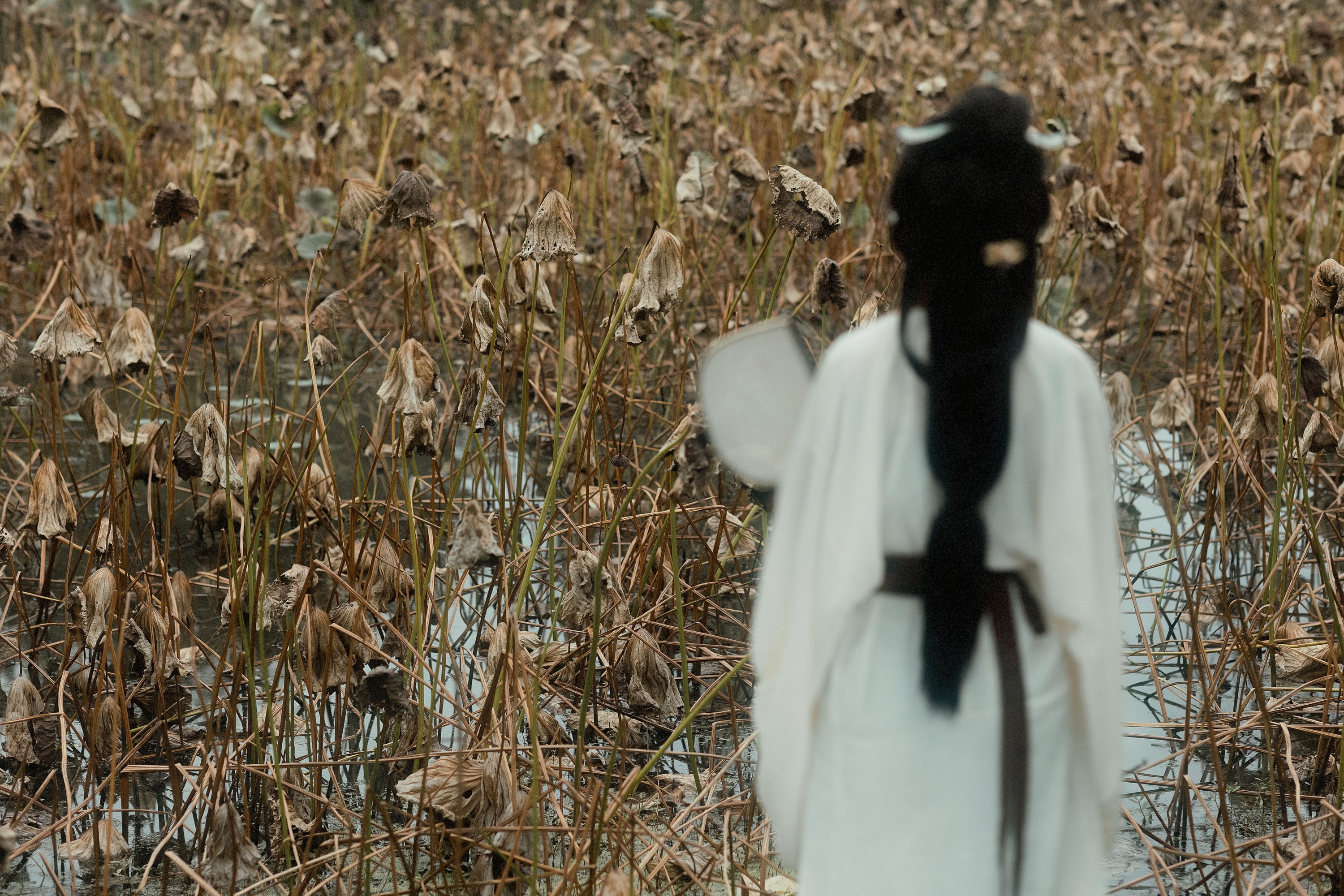 _泽兰_ – 《静女》[22P] 插图5