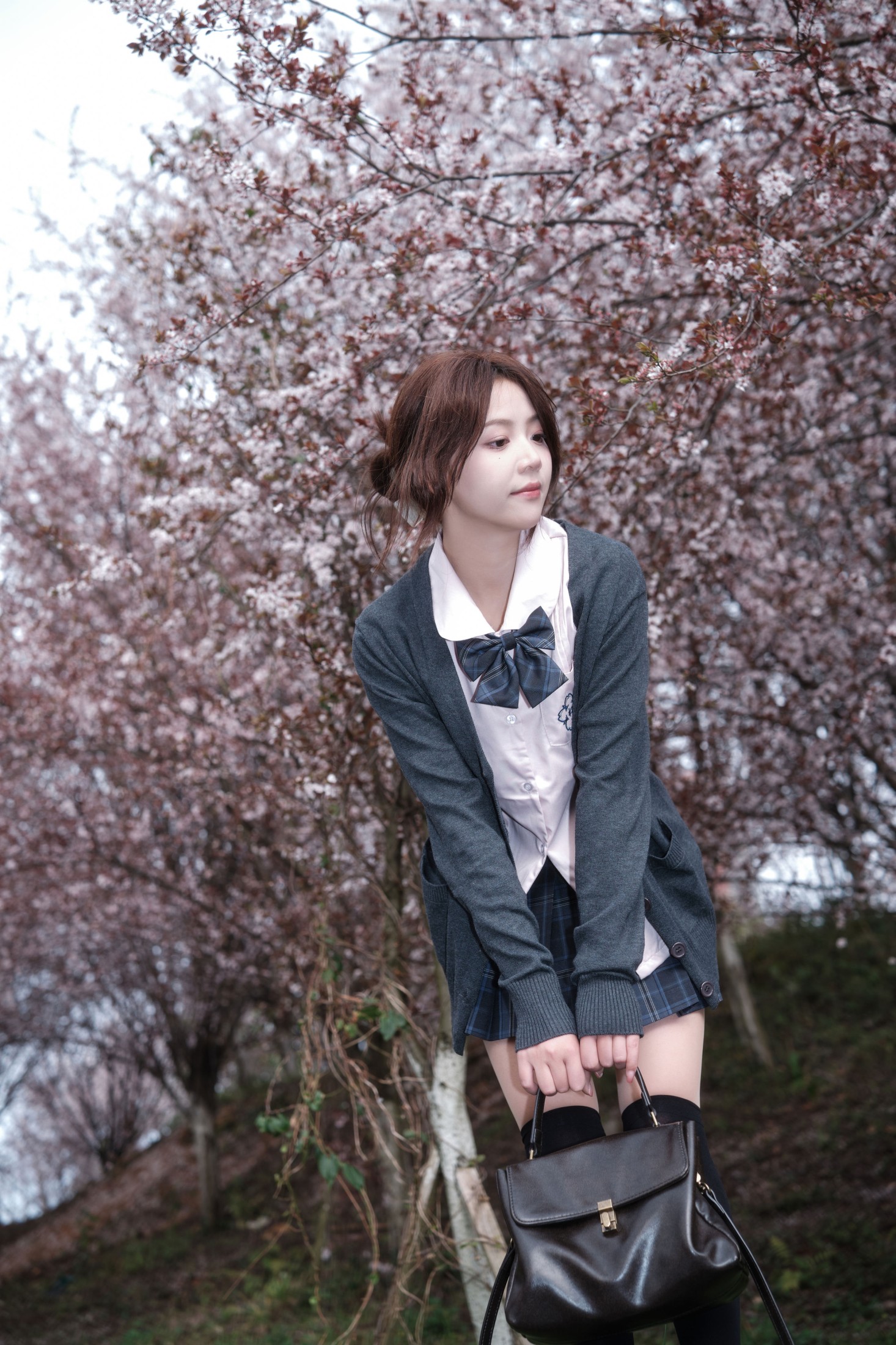 佳佳 – 《紫叶李jk》[31P] 插图3