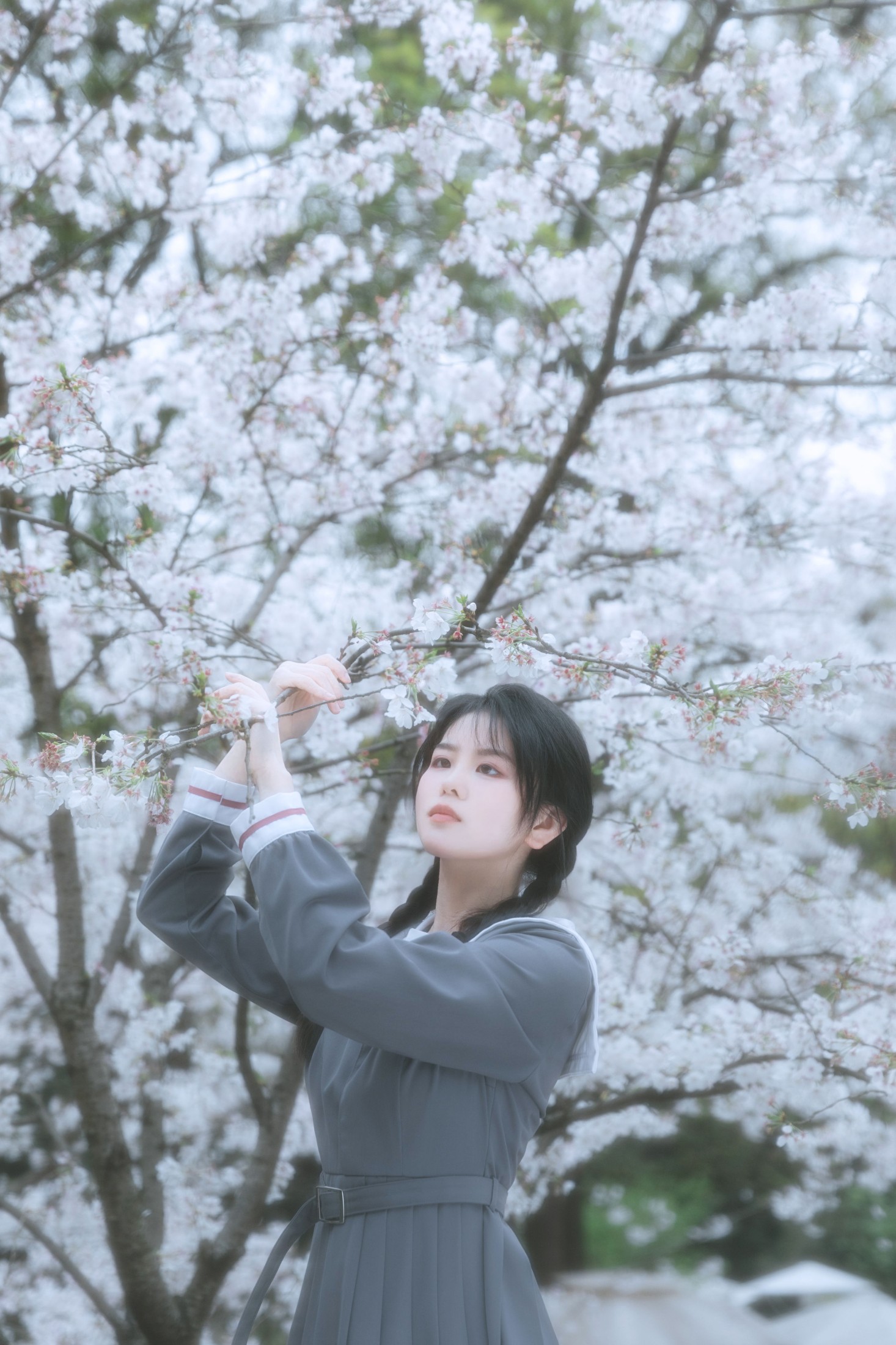 牛奶 – 《少女与花》[22P] 插图4