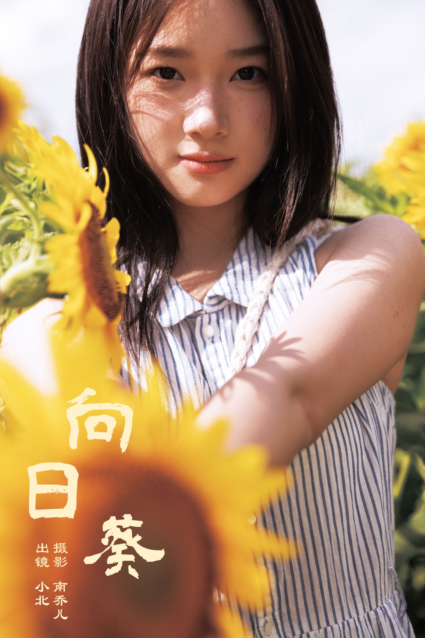 To小北 – 《向日葵》[26P]-66COS