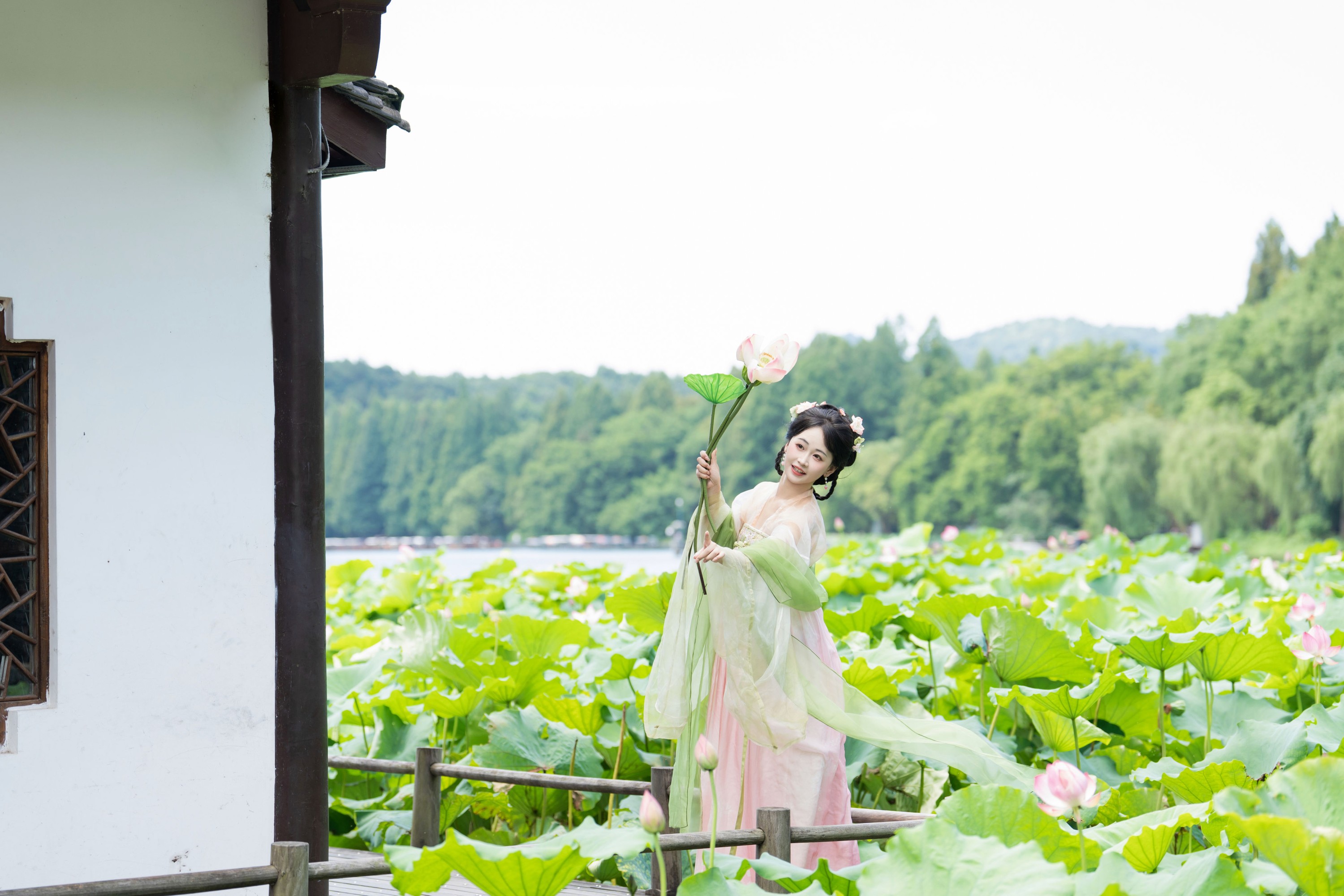 湫一只岁岁 – 《荷花少女》[25P] 插图5