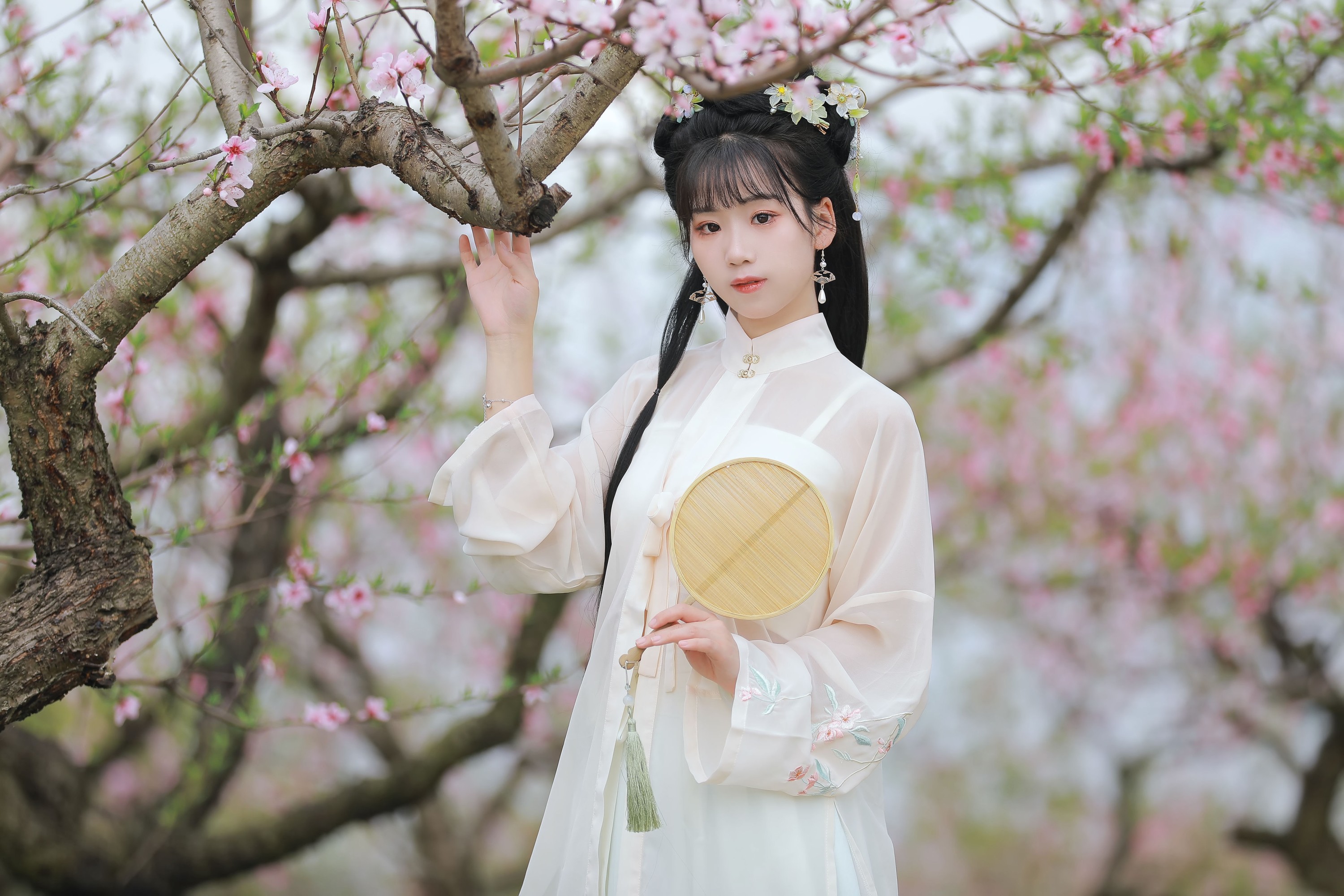 周周Ay – 《桃花》[22P] 插图3