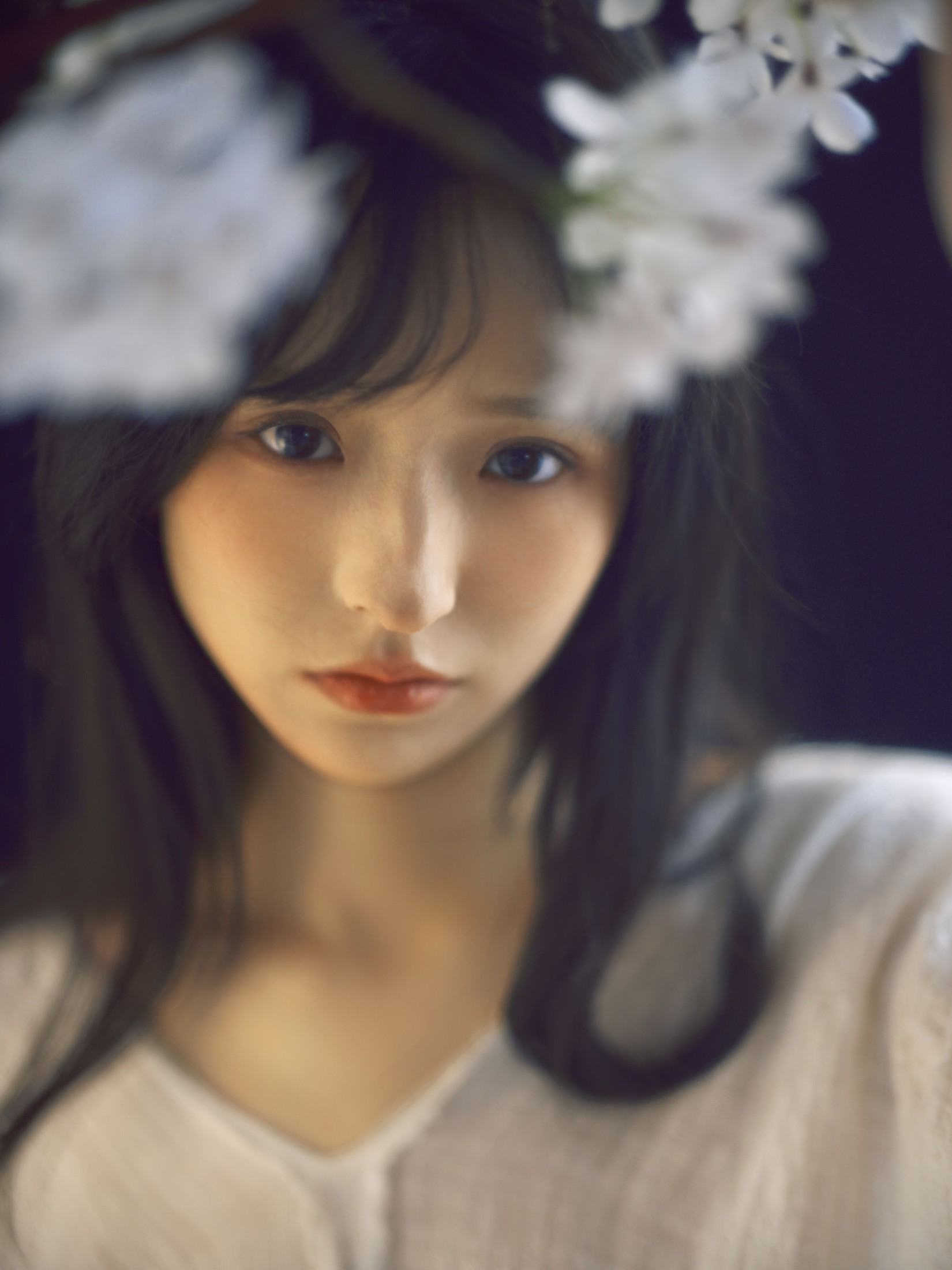 Maoqi – 《白鸽》[22P] 插图5