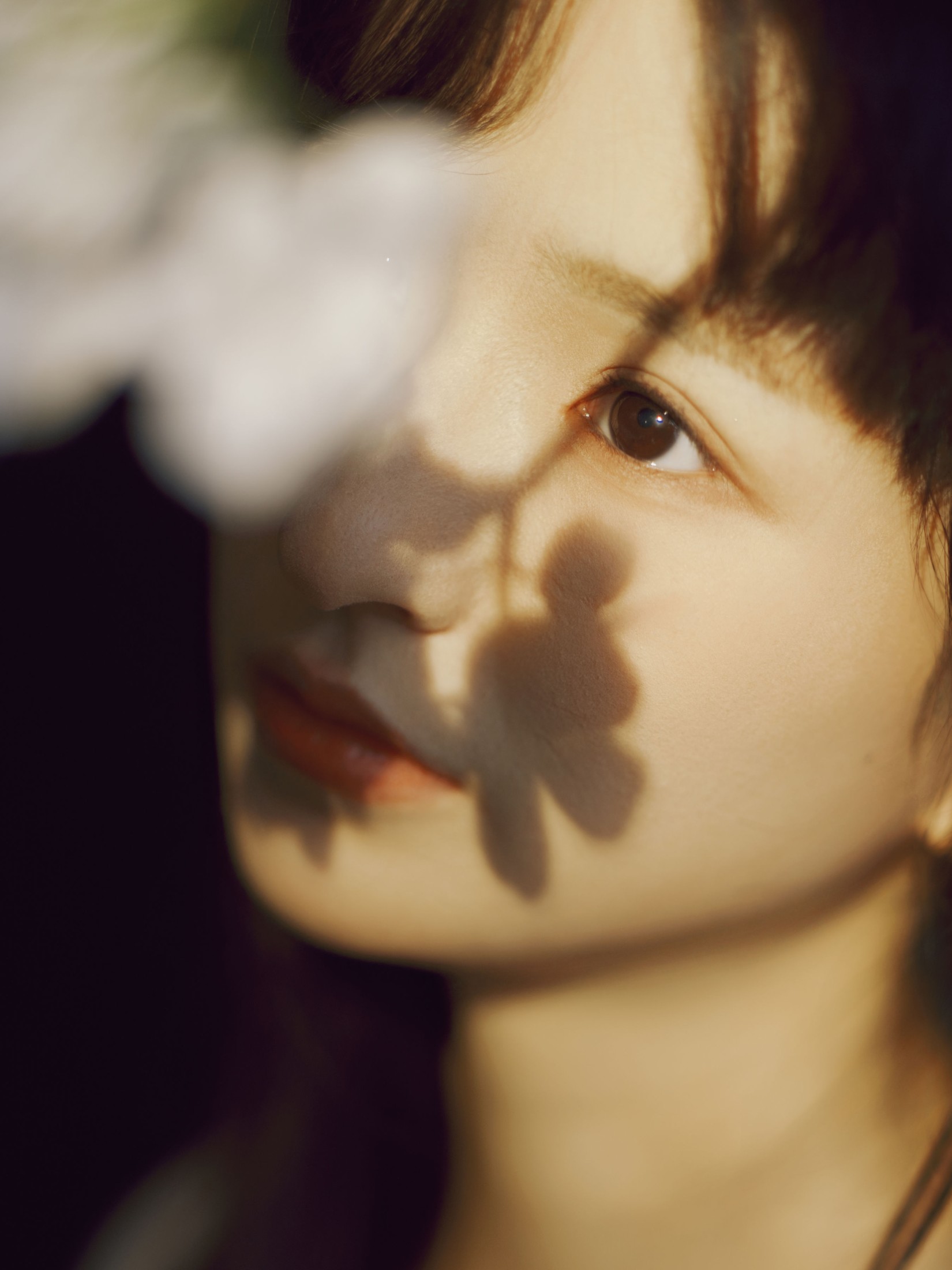 Maoqi – 《白鸽》[22P] 插图4