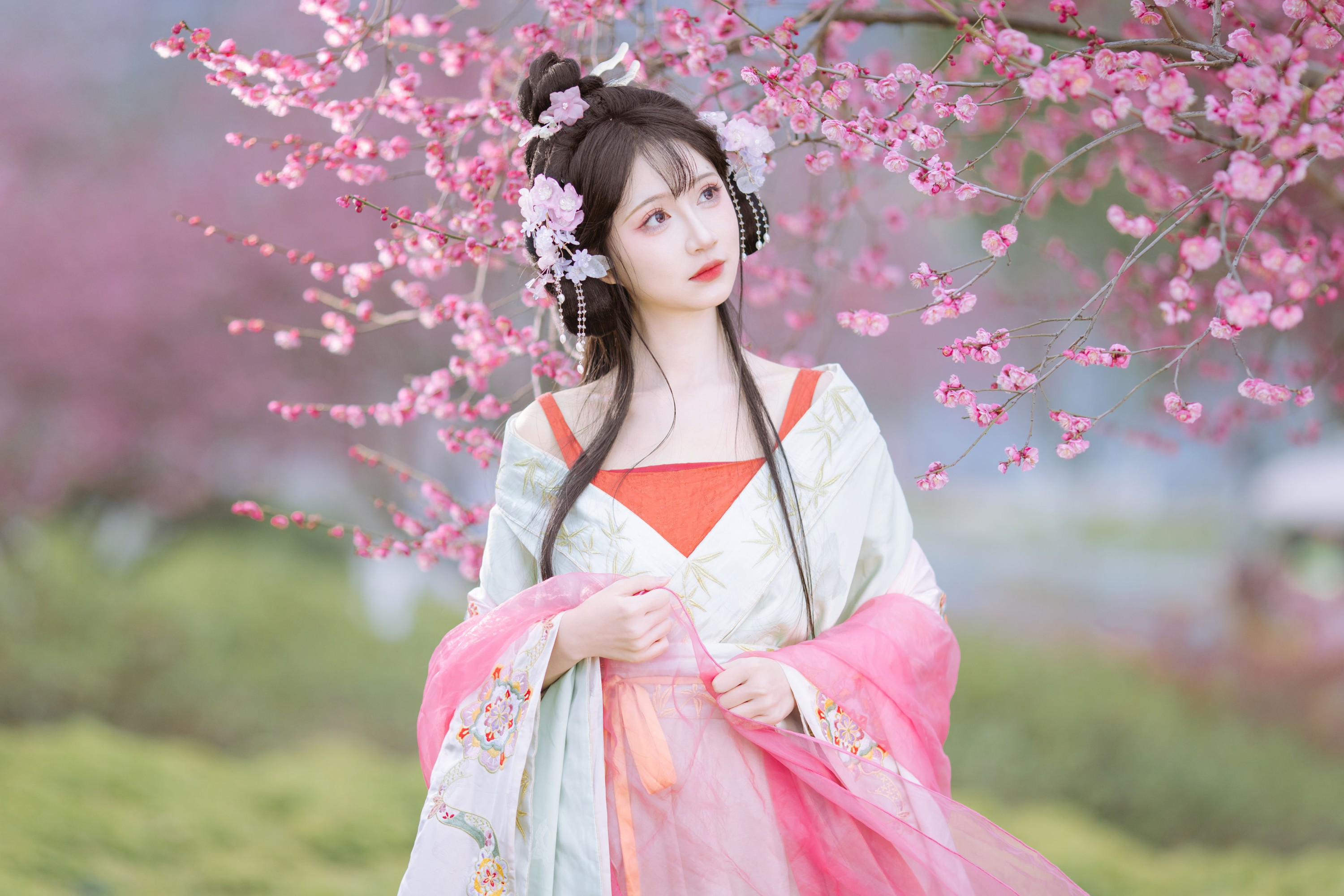 绮罗生的小苏苏 – 《梅花仙》[21P] 插图5