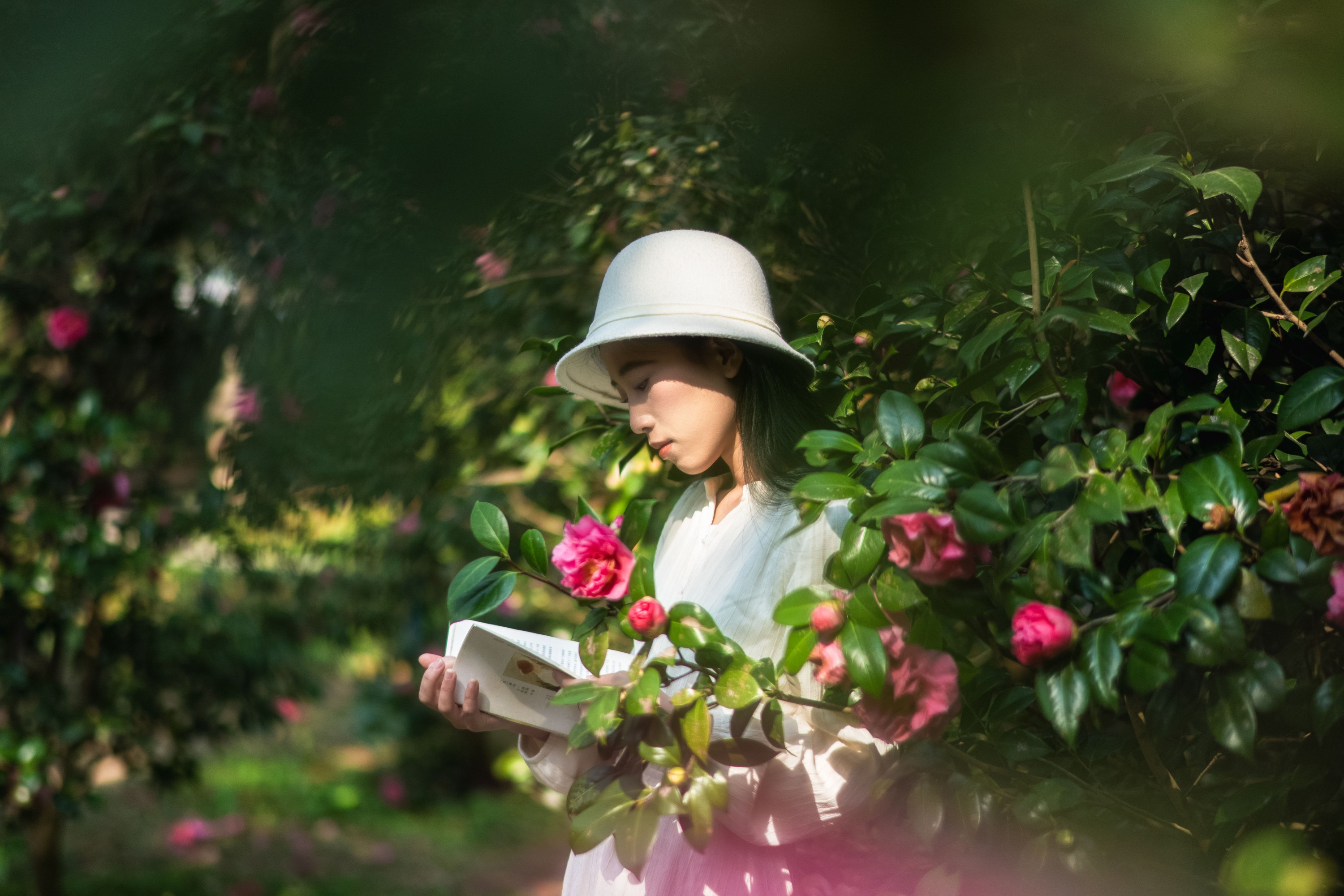 鈡婷儿 – 《假如给我三天光明》[22P] 插图4