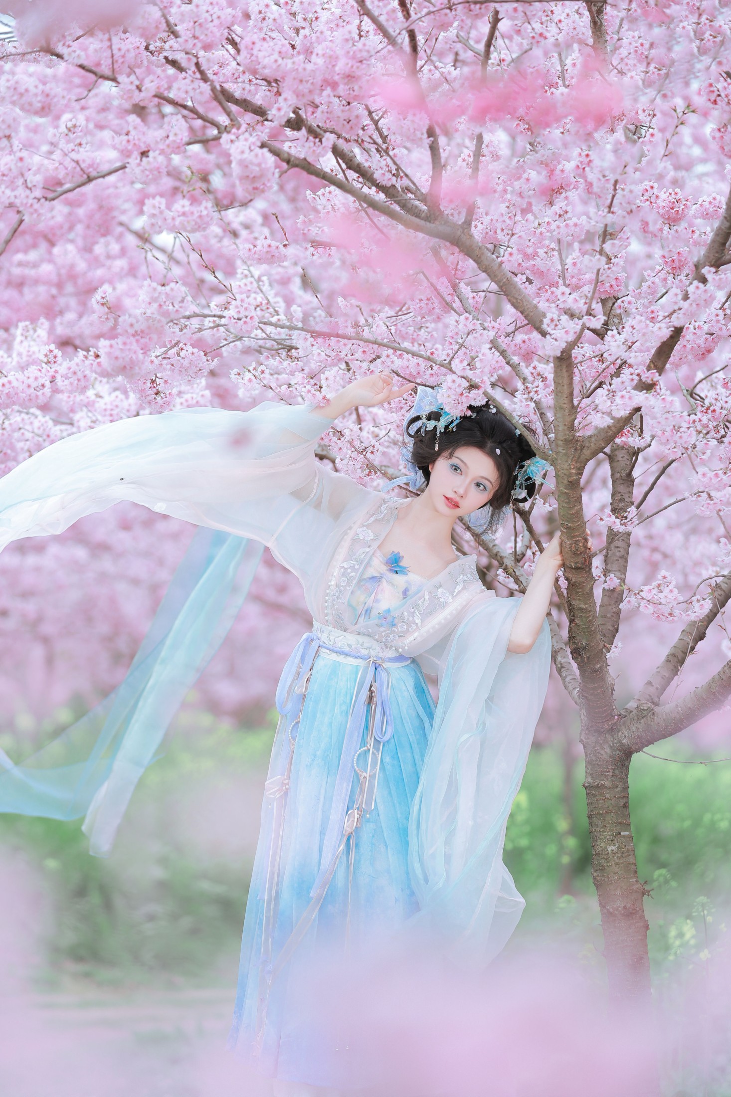 十元zz – 《樱舞蝶衣》[24P] 插图4