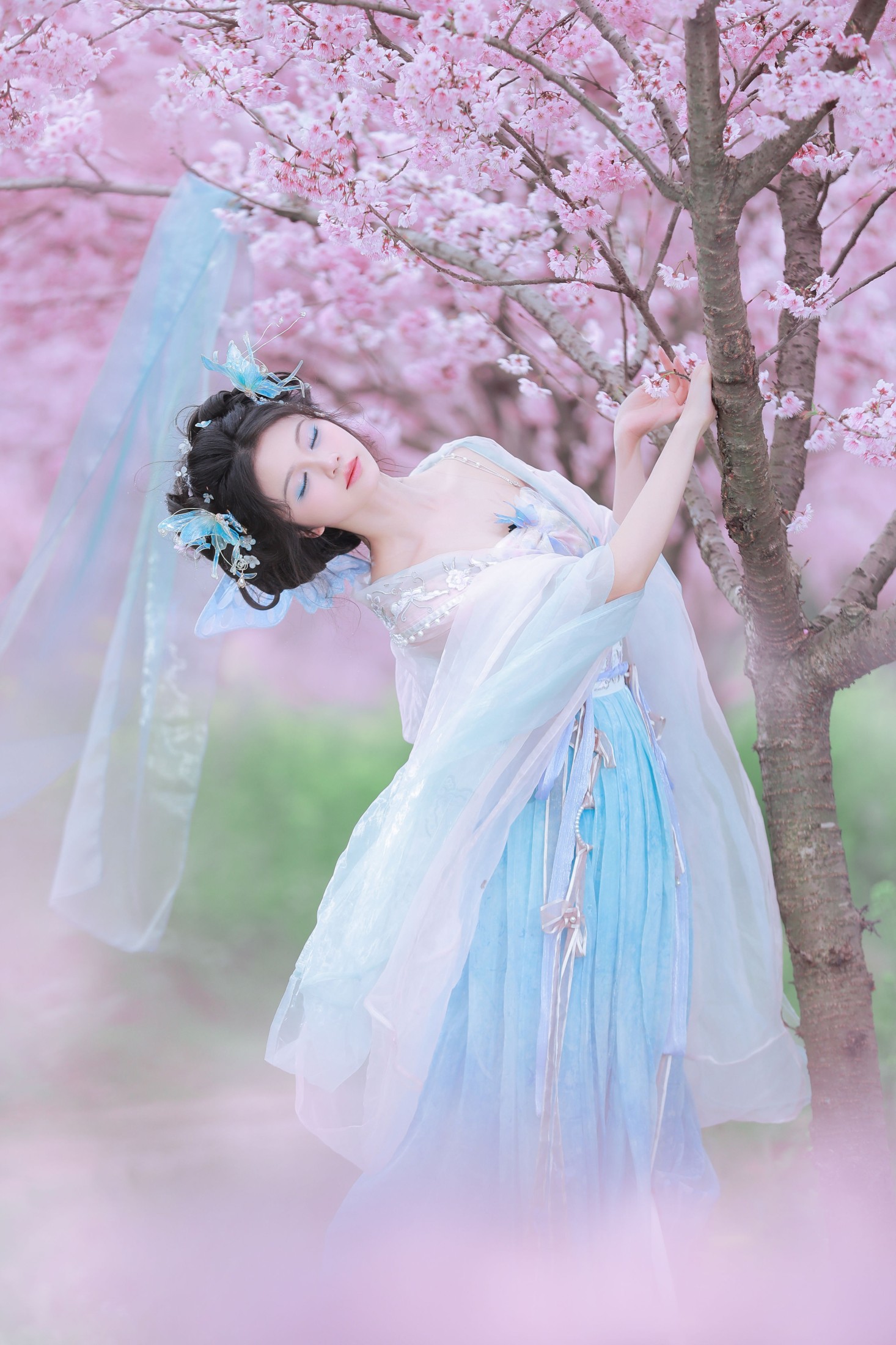 十元zz – 《樱舞蝶衣》[24P] 插图3