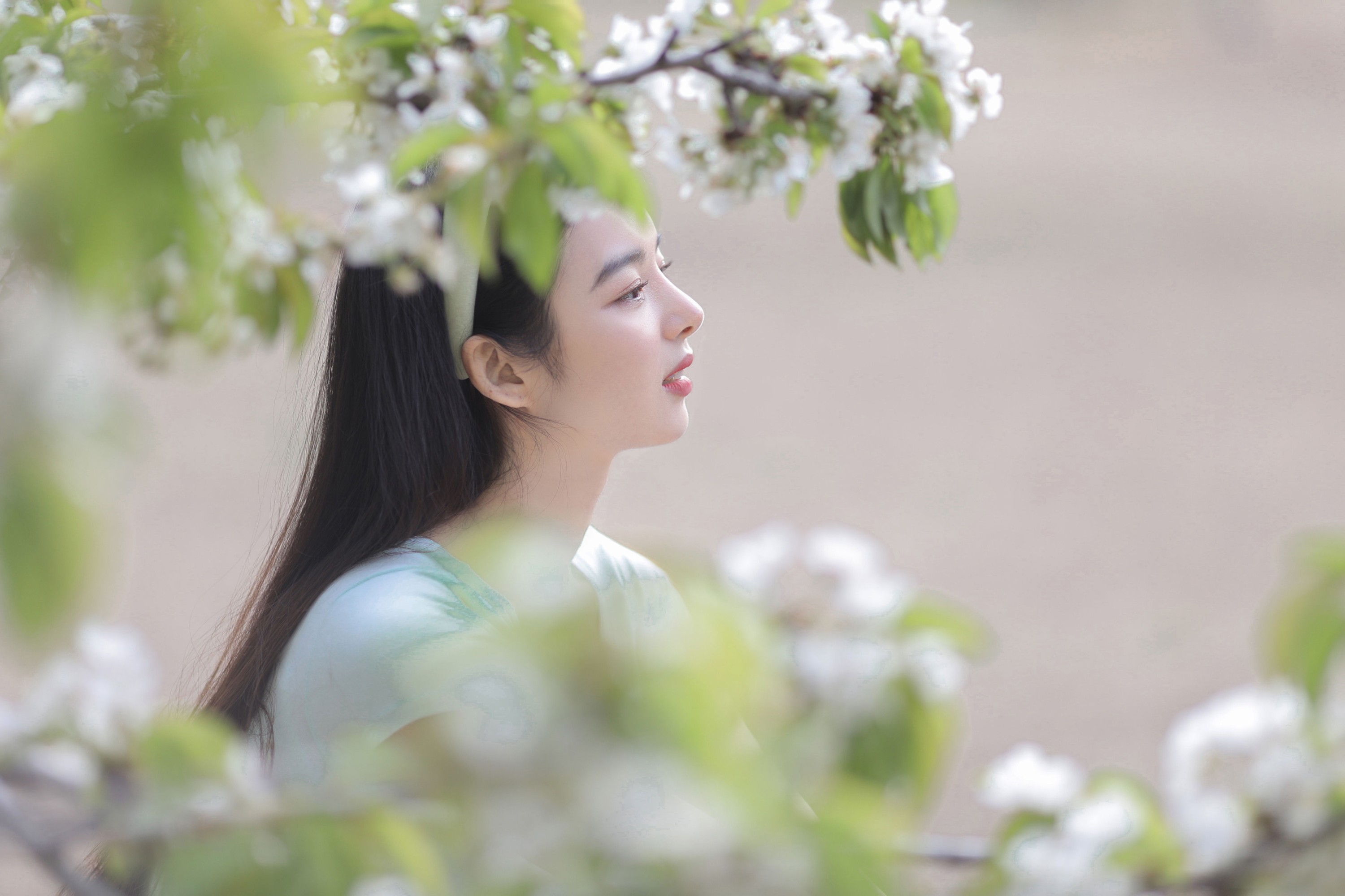 郑楠汐 – 《日漫樱花》[16P] 插图5