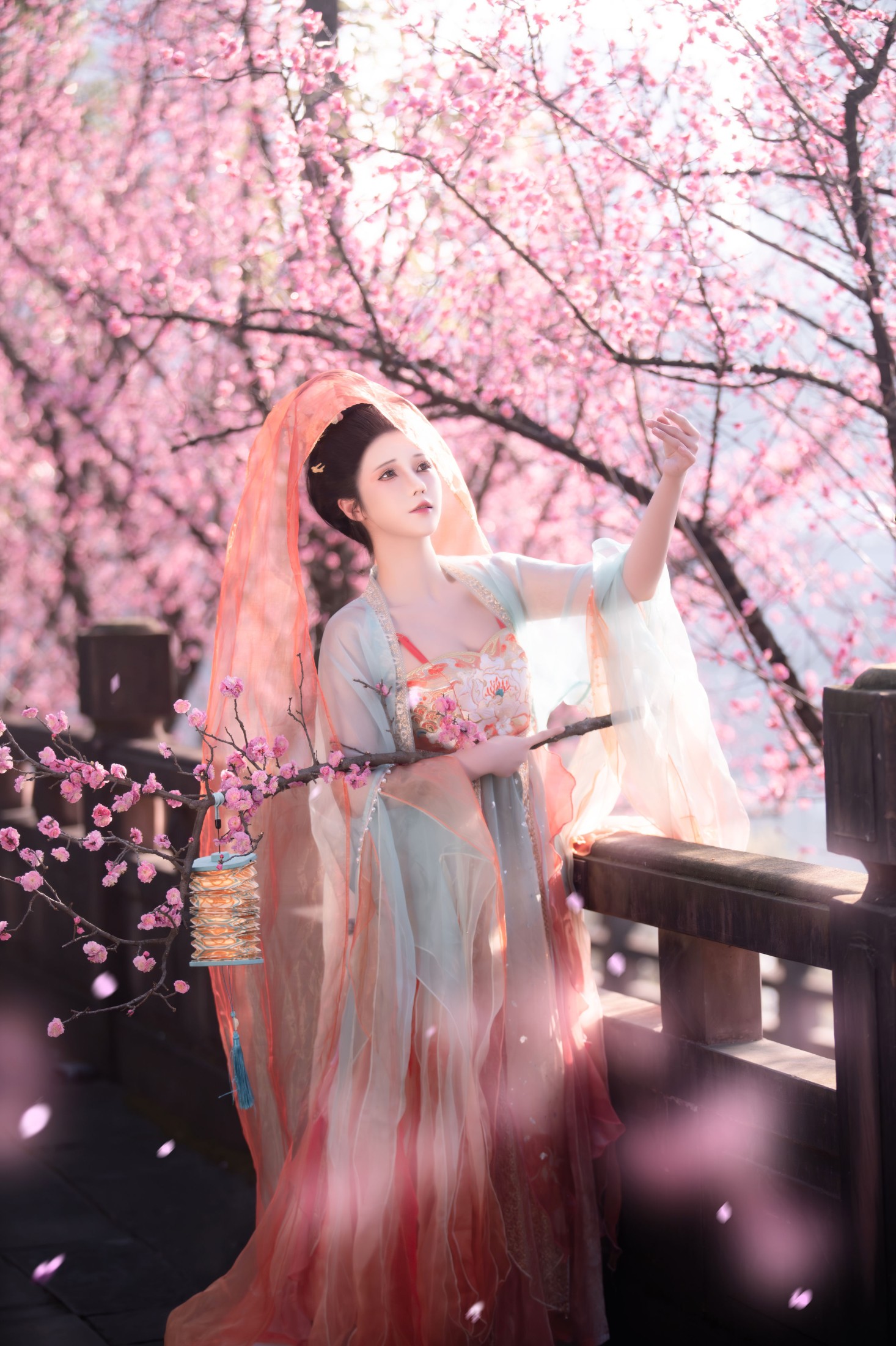 北北茉 – 《笑春风》[28P]-66COS