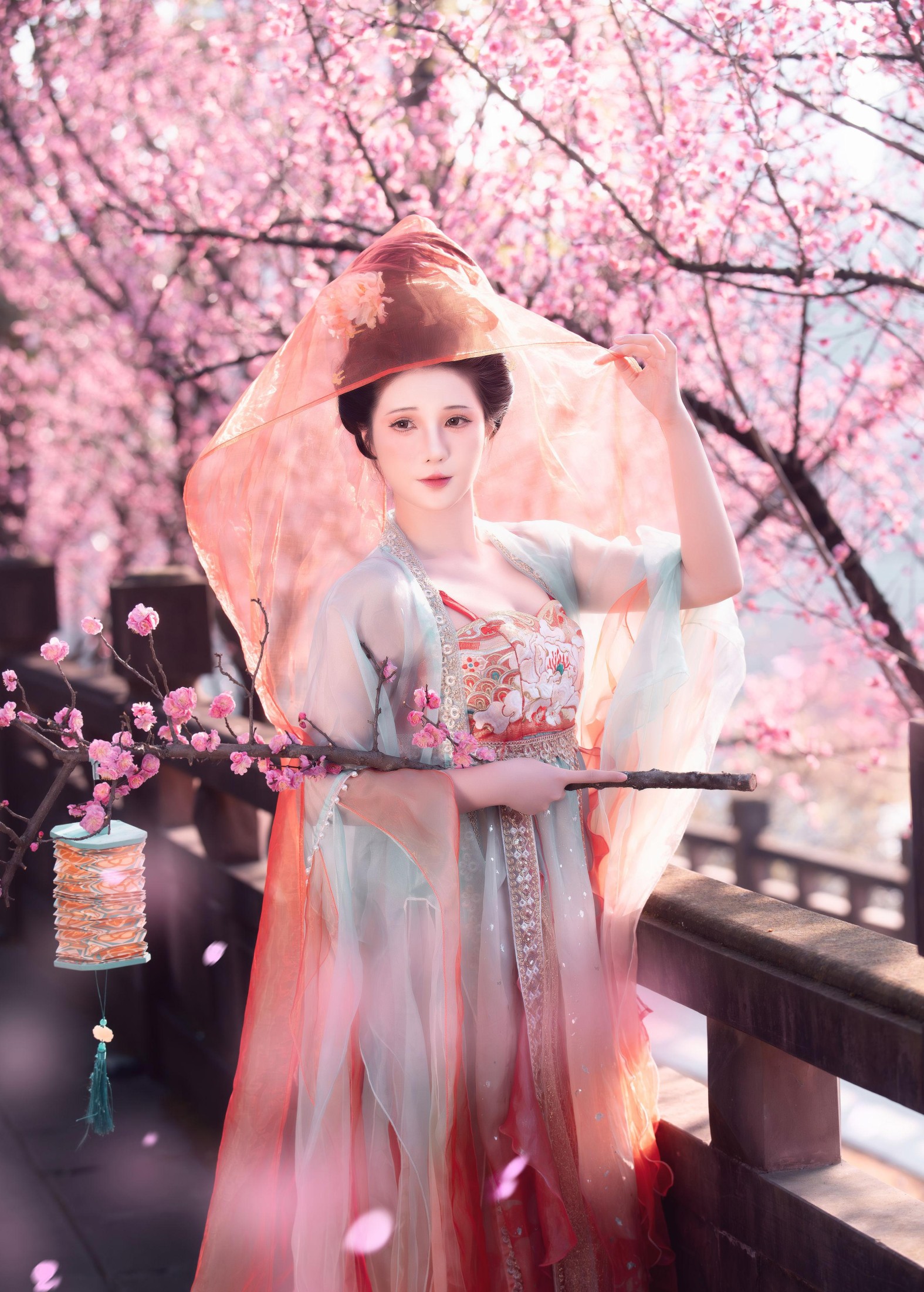 北北茉 – 《笑春风》[28P] 插图2