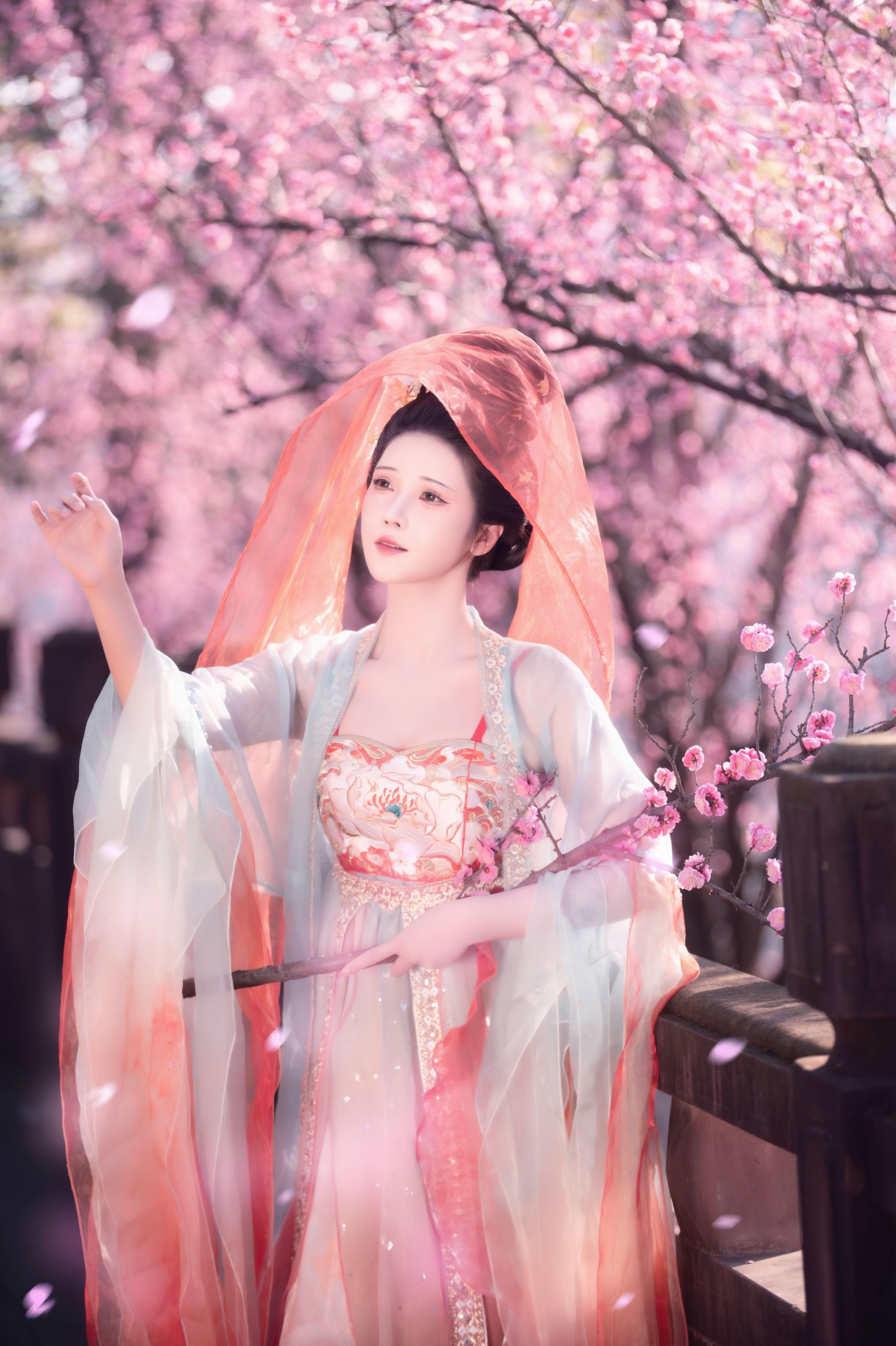 北北茉 – 《笑春风》[28P] 插图5