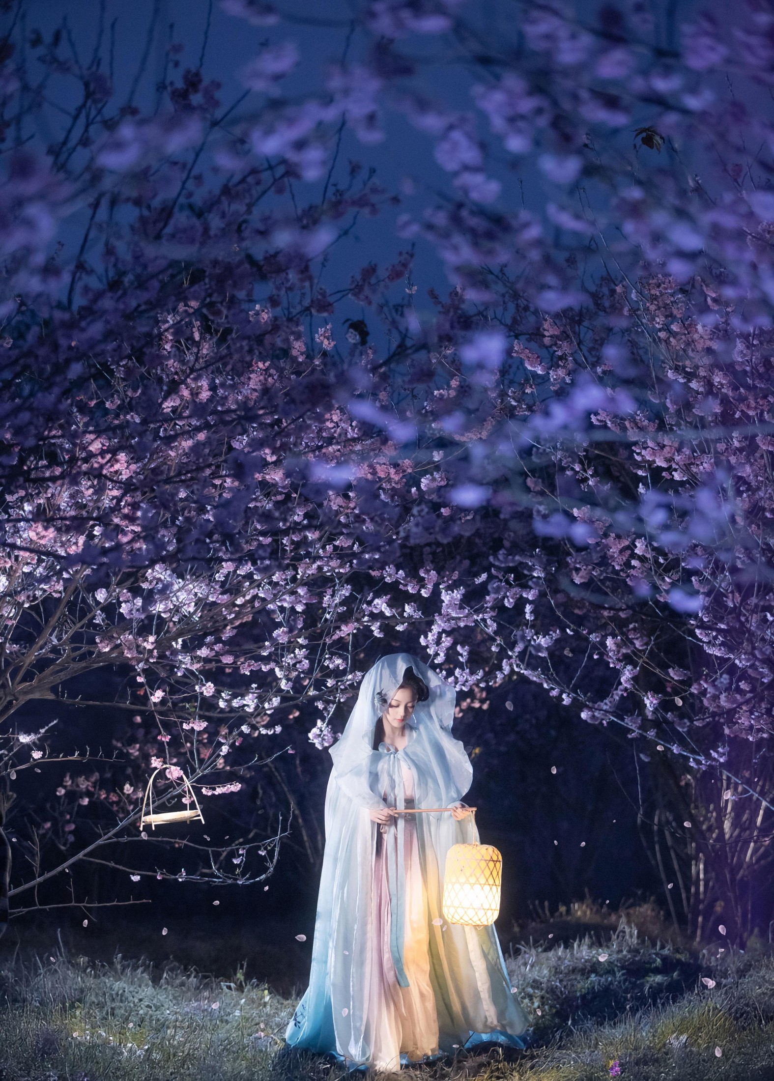 七霓巳猫- – 《梦遣看花人》[34P] 插图2