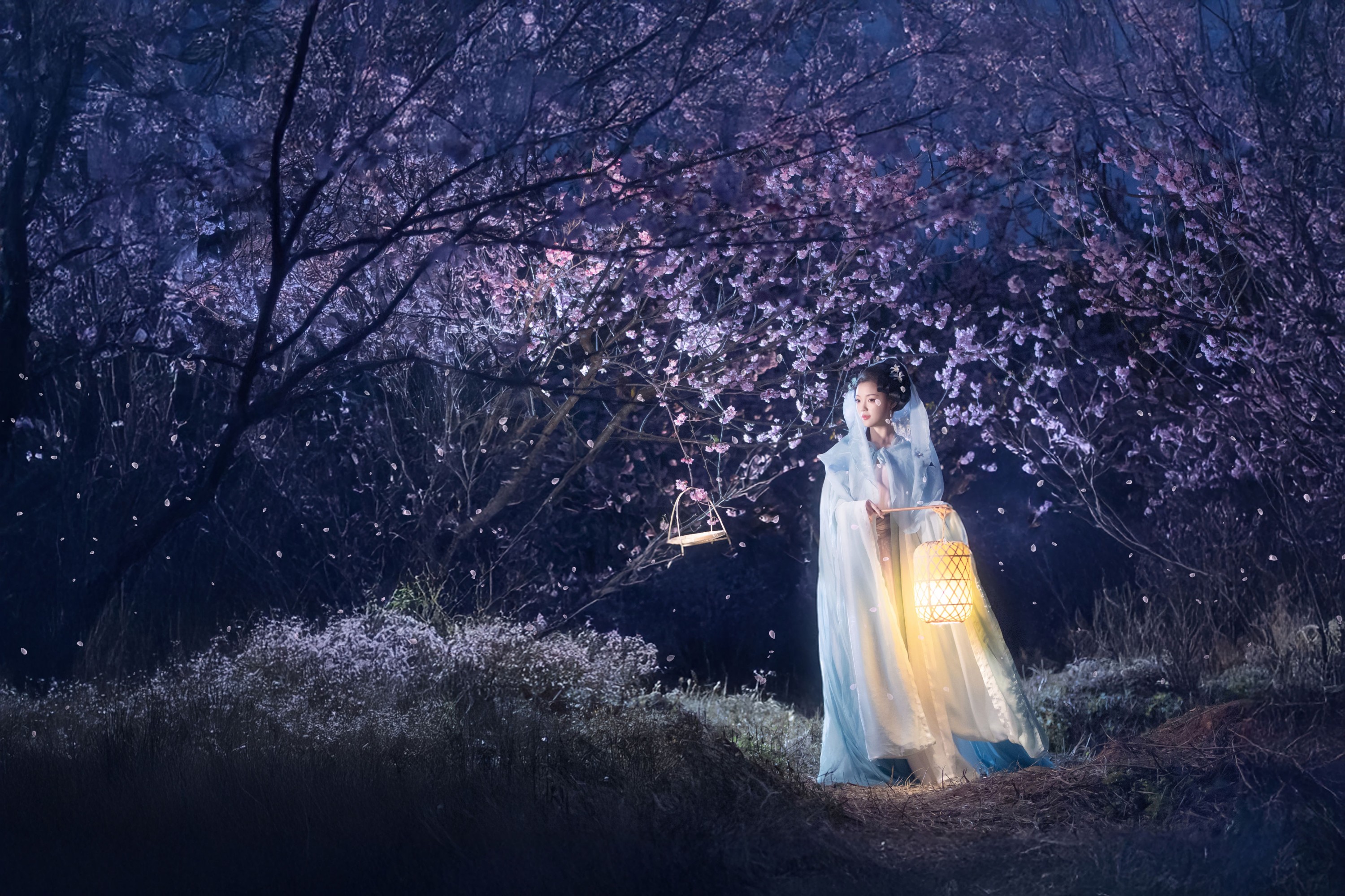 七霓巳猫- – 《梦遣看花人》[34P]-66COS