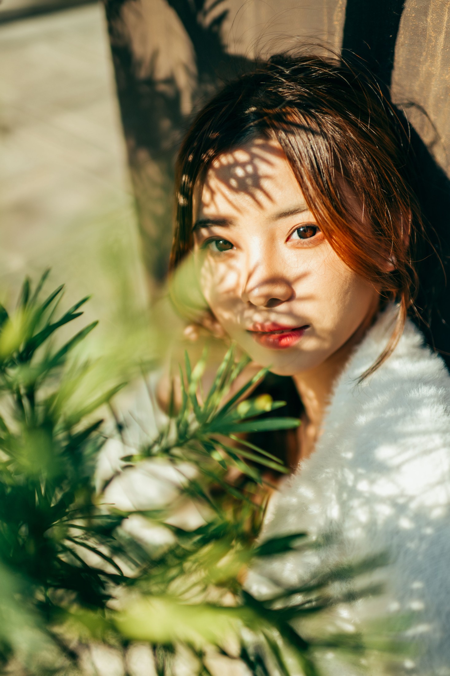 章鱼 – 《赤松宫》[20P] 插图4