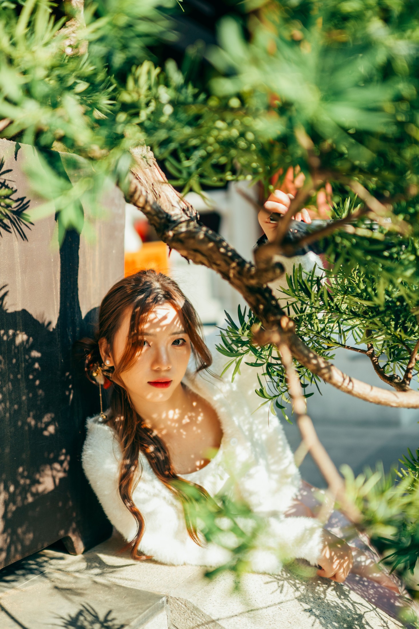 章鱼 – 《赤松宫》[20P] 插图3