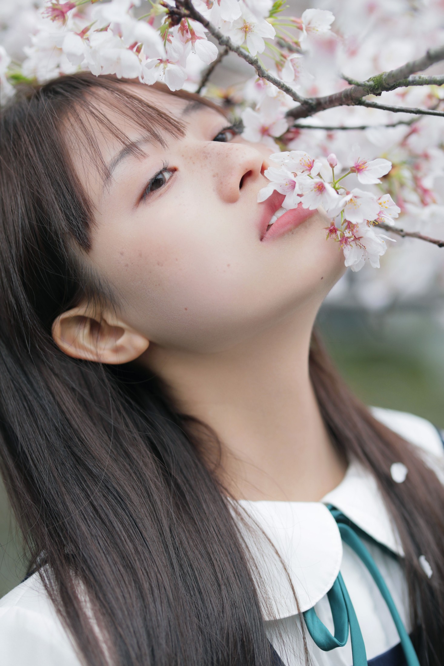 – 《春日礼赞》[35P]-66COS