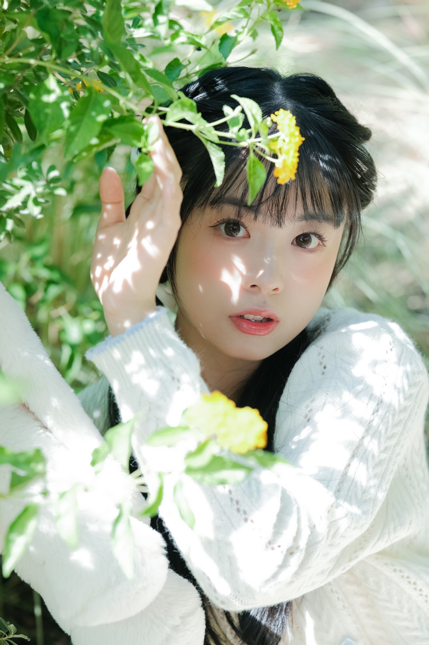 一只暖暖 – 《春天的漩涡》[25P] 插图5