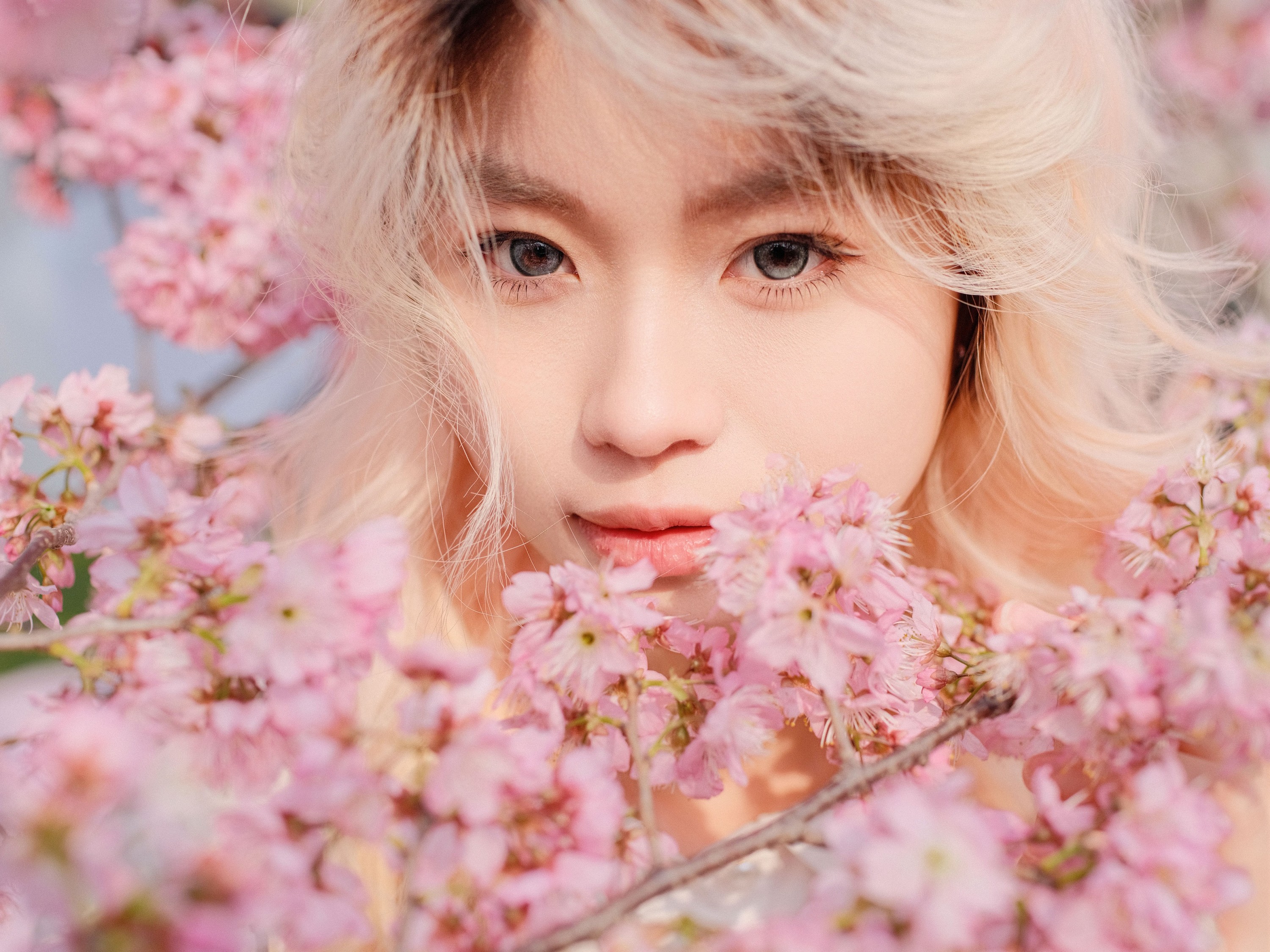 点点 – 《樱花树下》[16P] 插图3