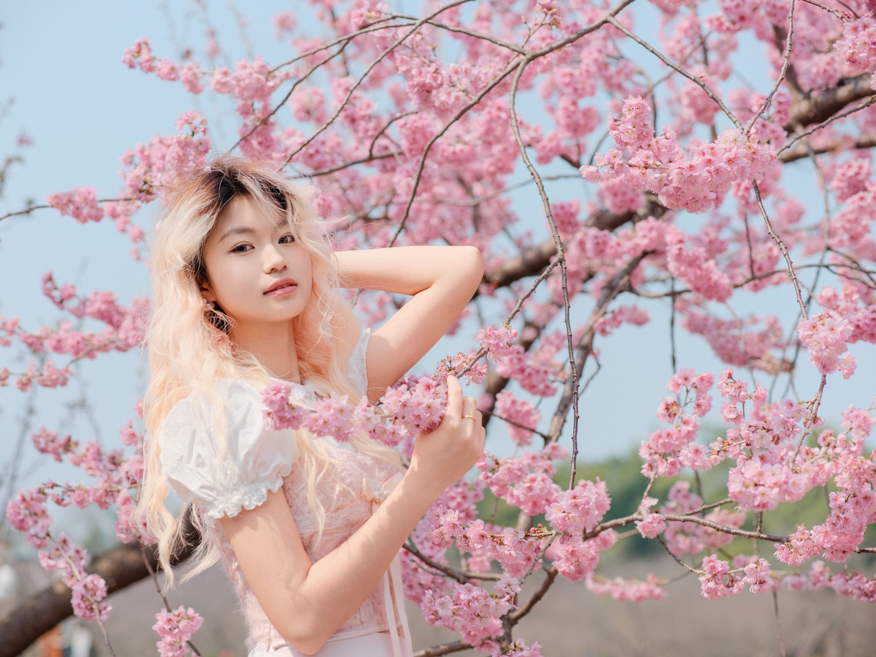 点点 – 《樱花树下》[16P] 插图5