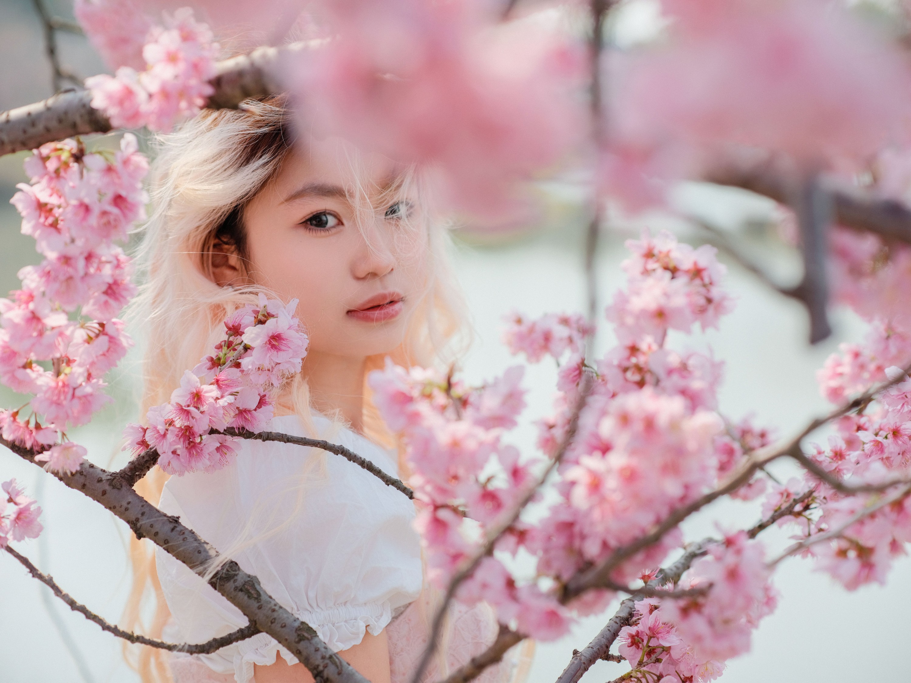 点点 – 《樱花树下》[16P]-66COS