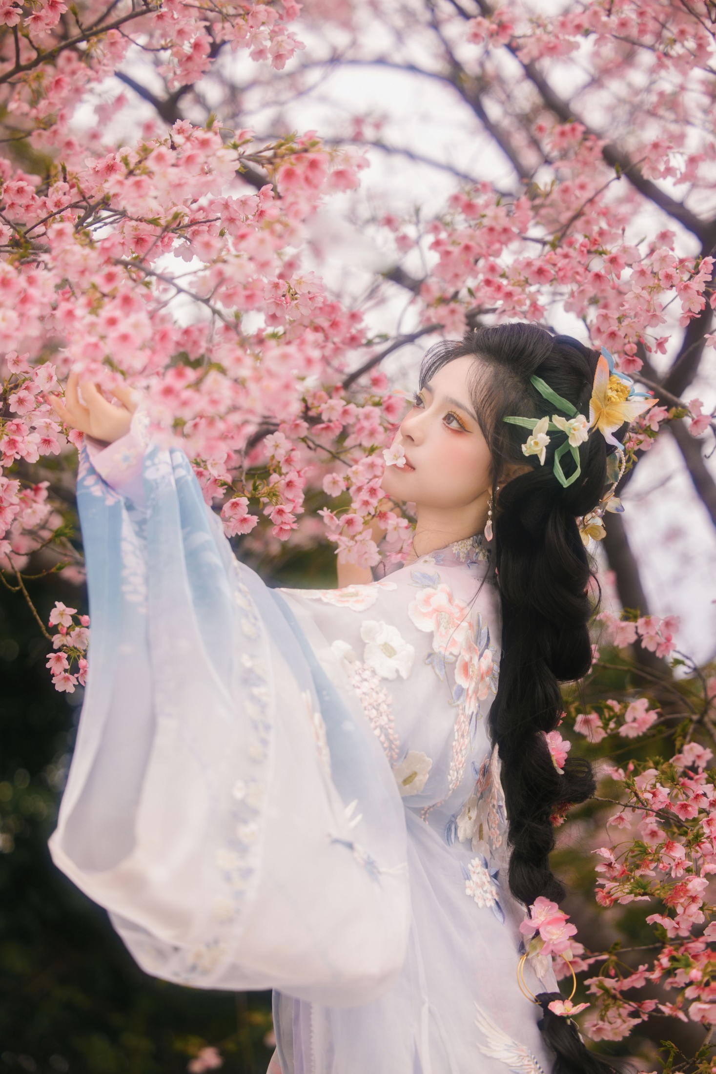 衔鹿 – 《樱花雨》[18P] 插图5