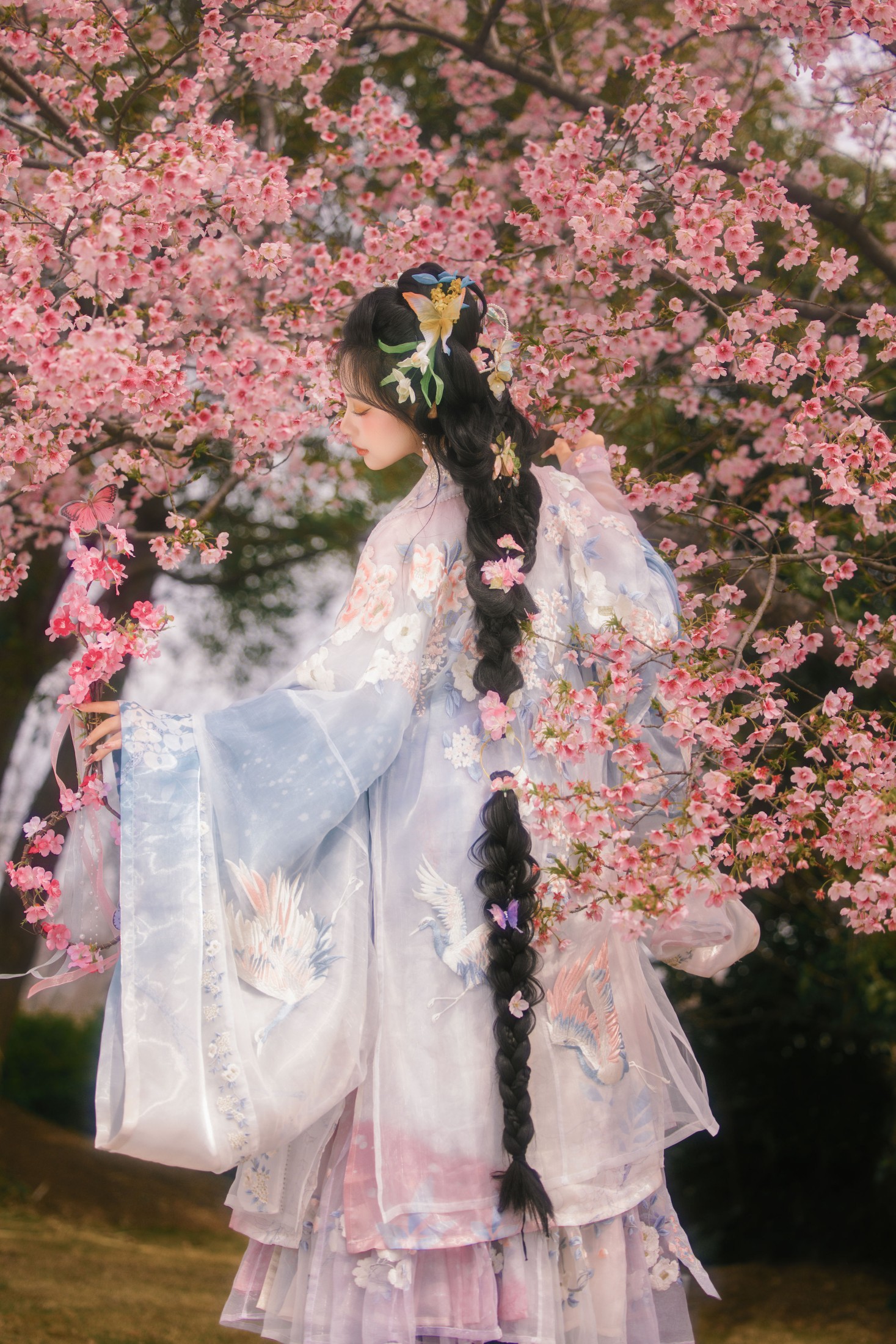 衔鹿 – 《樱花雨》[18P]-66COS