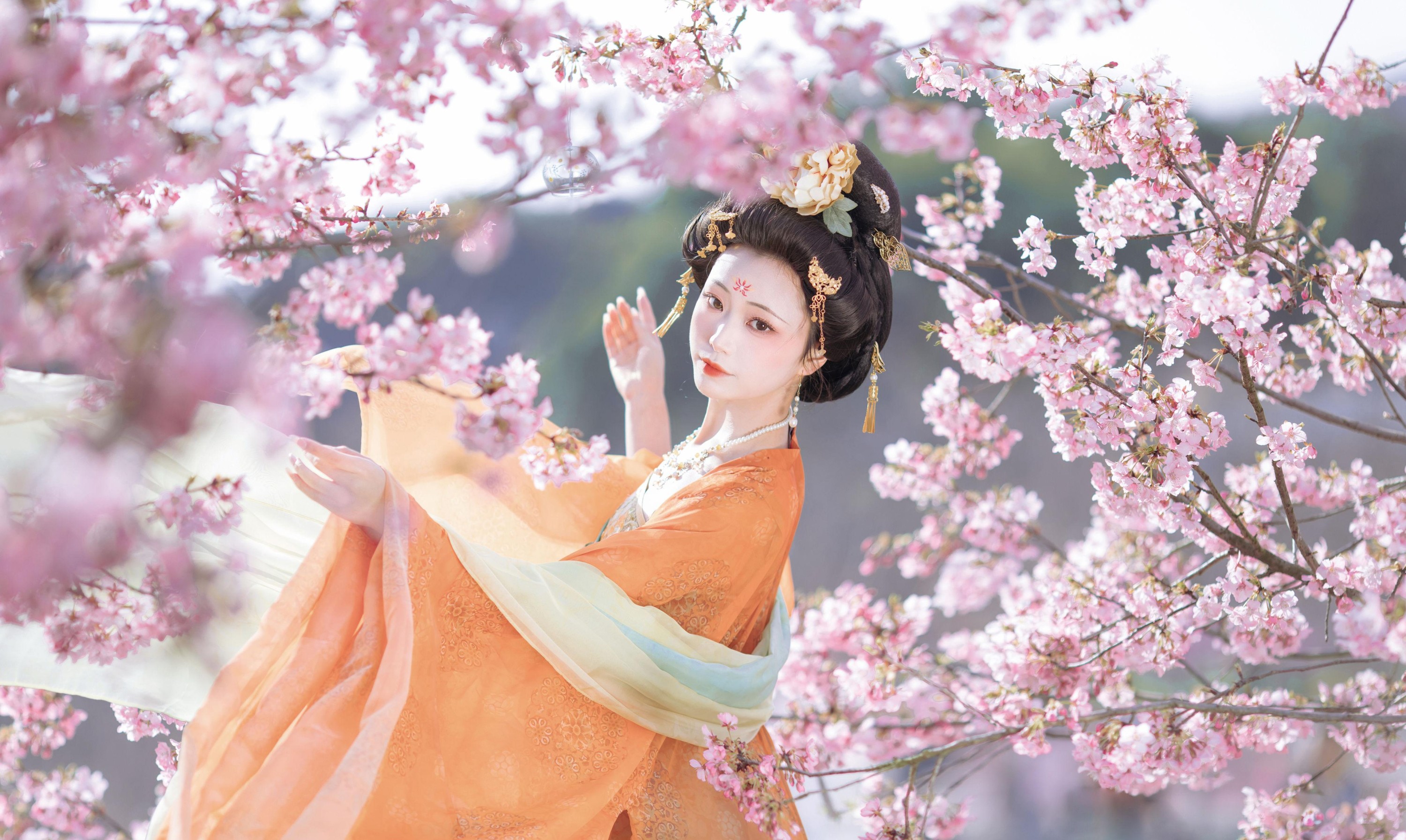 千玥 – 《名花倾国两相欢》[20P] 插图2