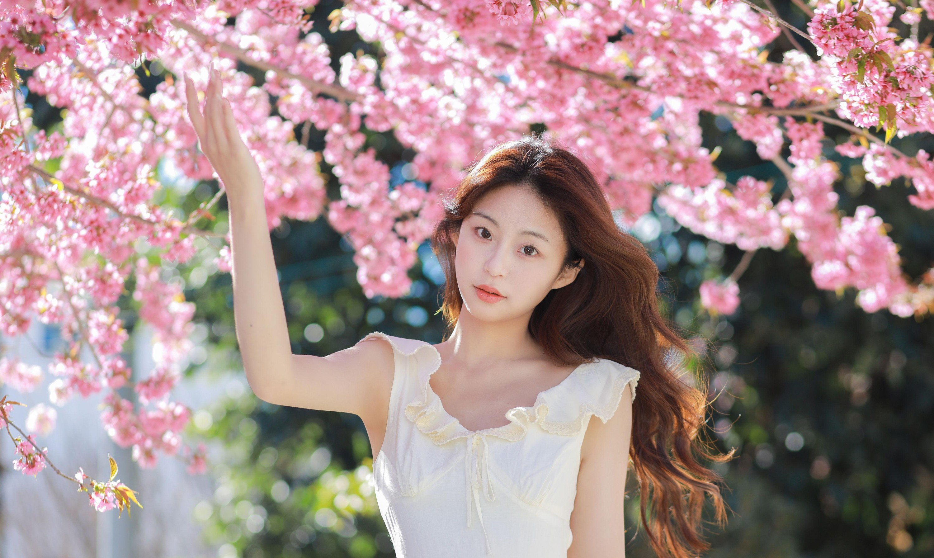 chickkii_ – 《樱花树下的少女》[22P] 插图2