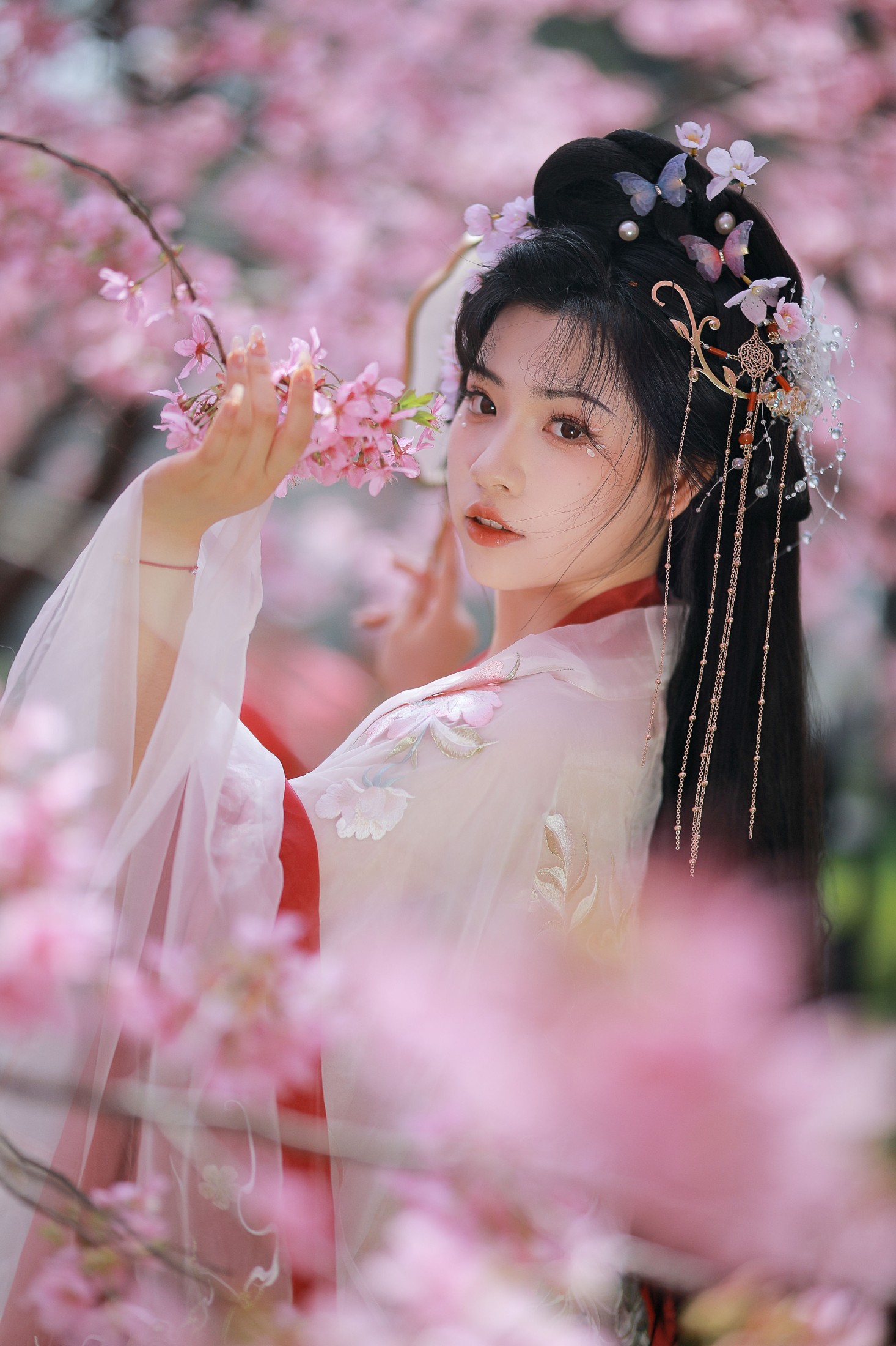 阿冥 – 《樱花仙子》[15P]-66COS